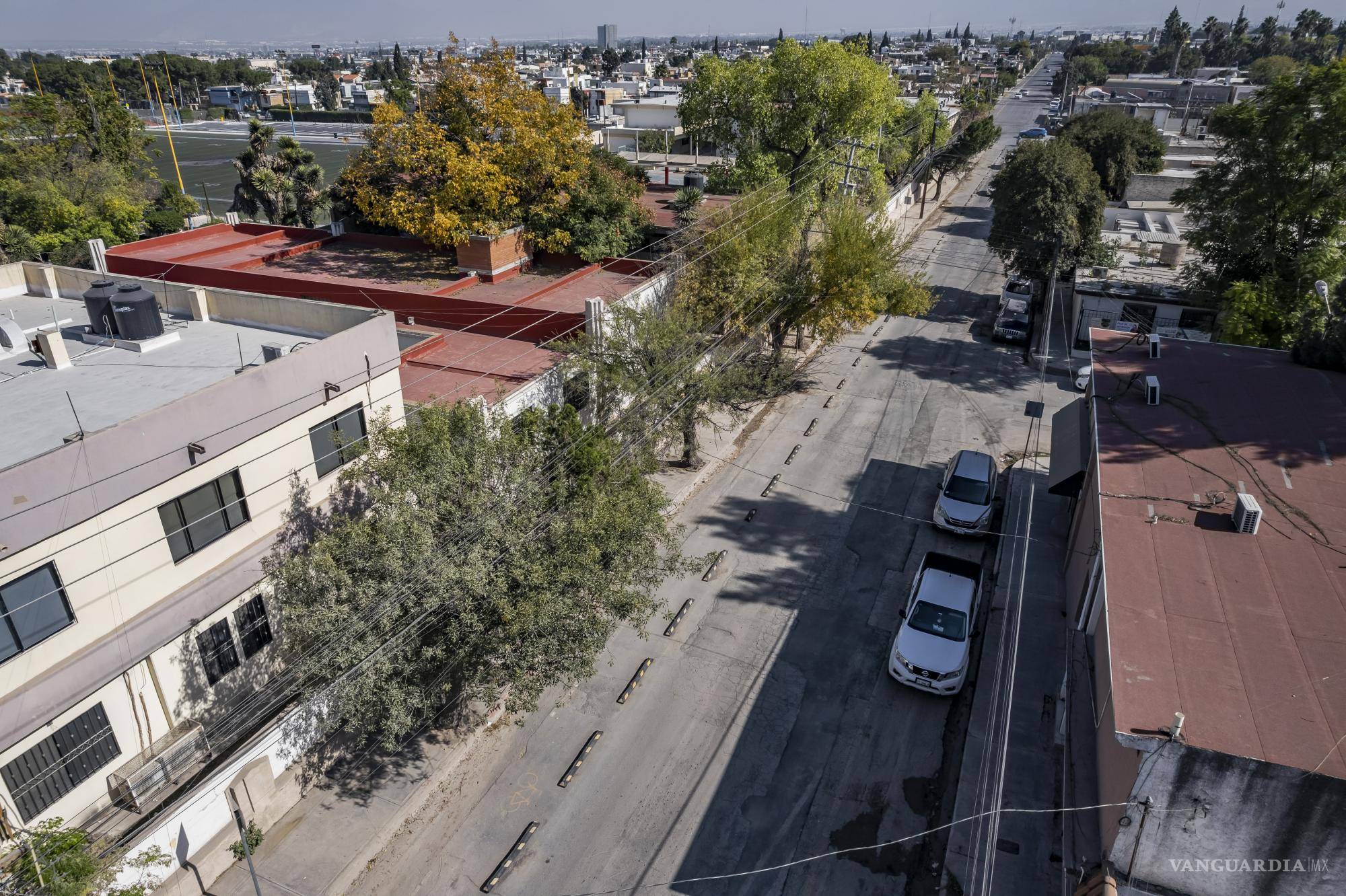 $!Los árboles de la zona fueron dañados durante las obras, según los vecinos, quienes también reportaron la rotura de ramas por parte de transportistas.