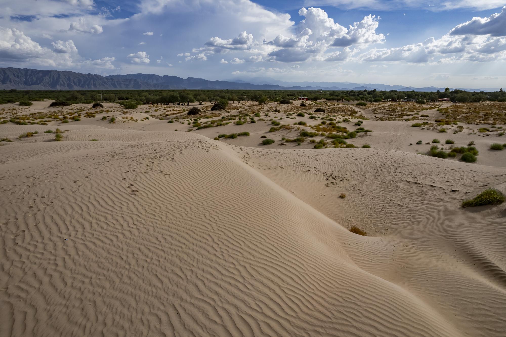 $!Escena de las dunas de Viesca, un paisaje icónico del desierto coahuilense.