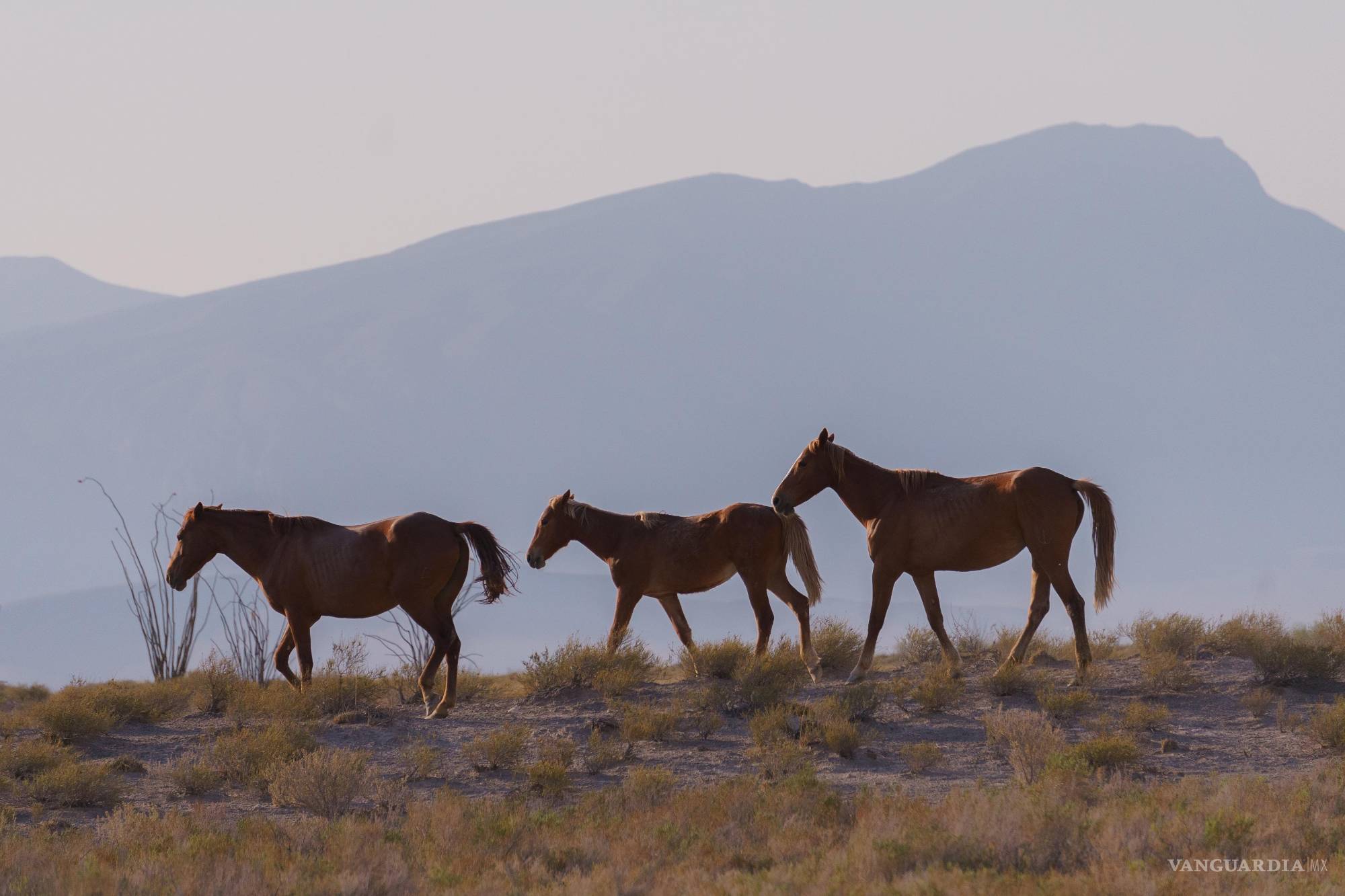 $!El majestuoso paisaje del Área Natural Protegida de Cuatro Ciénegas enmarca esta experiencia espiritual.