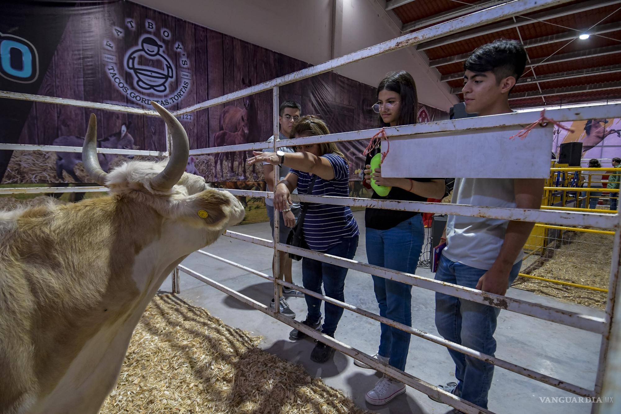 $!Además, hay una exposición ganadera.