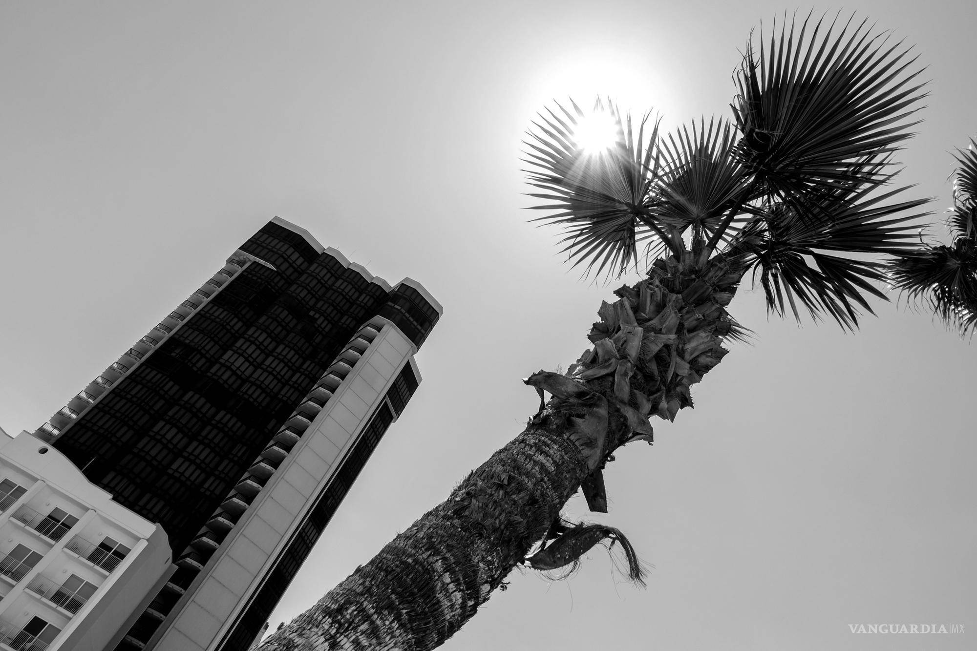 $!La unidad 1401 de esta torre de condominios frente al mar de 28 pisos se vendió en una subasta de gobierno por 640 mil dólares en 2013. Los fiscales federales en Brownsville habían alegado que el condominio fue comprado por un testaferro del ex gobernador de Tamaulipas Tomás Yarrington Ruvalcaba. Yarrington Ruvalcaba se declaró culpable de un cargo de conspiración para lavado de dinero en marzo de 2021.