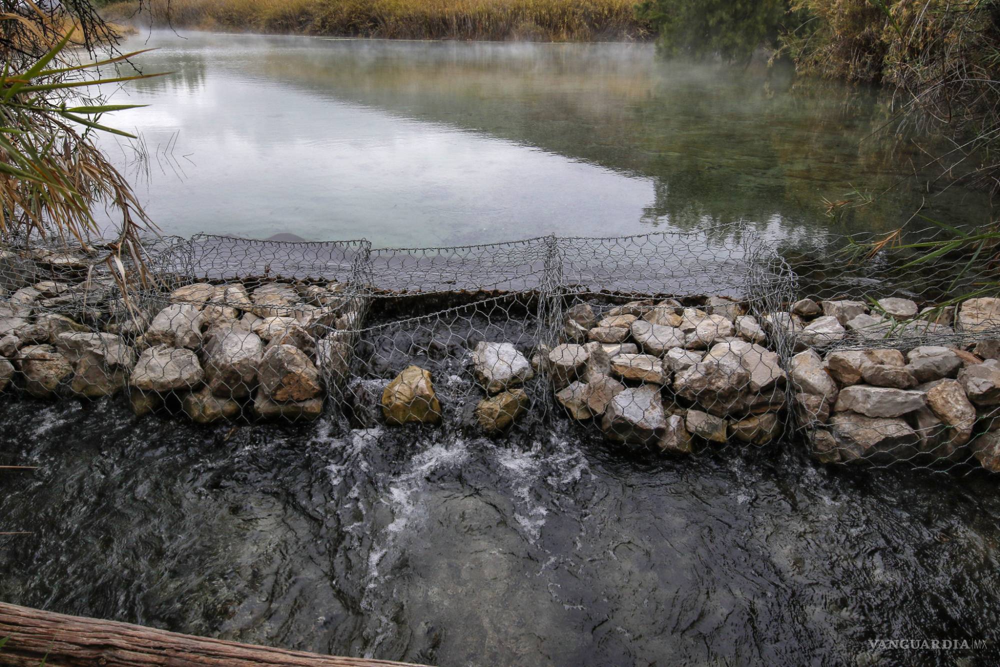 $!Valle de Cuatro Ciénegas, al borde del colapso; trasvase de agua lo agobia