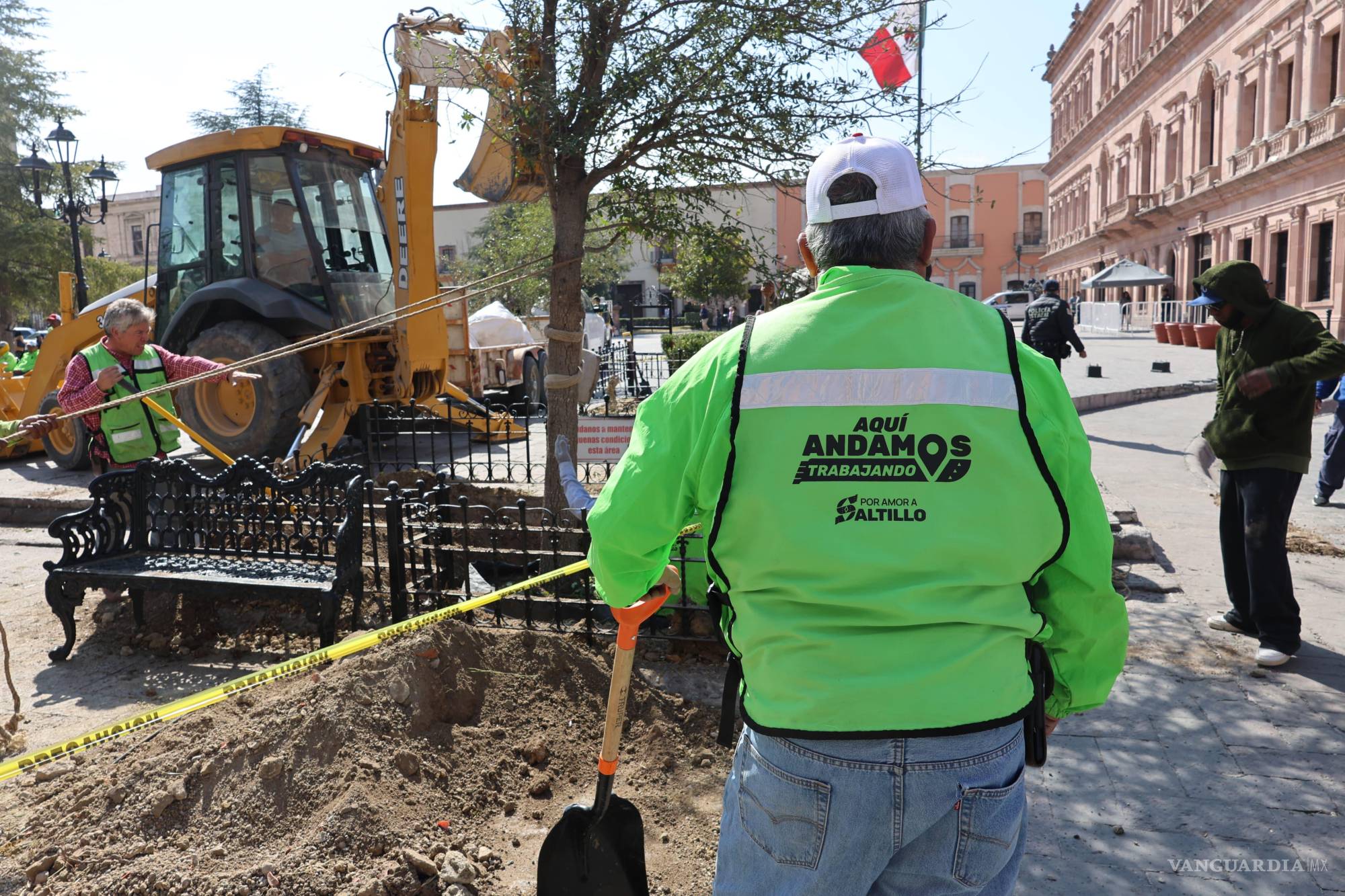 Continúa sustitución de árboles en Plaza de Armas de Saltillo; plantan especies de la región