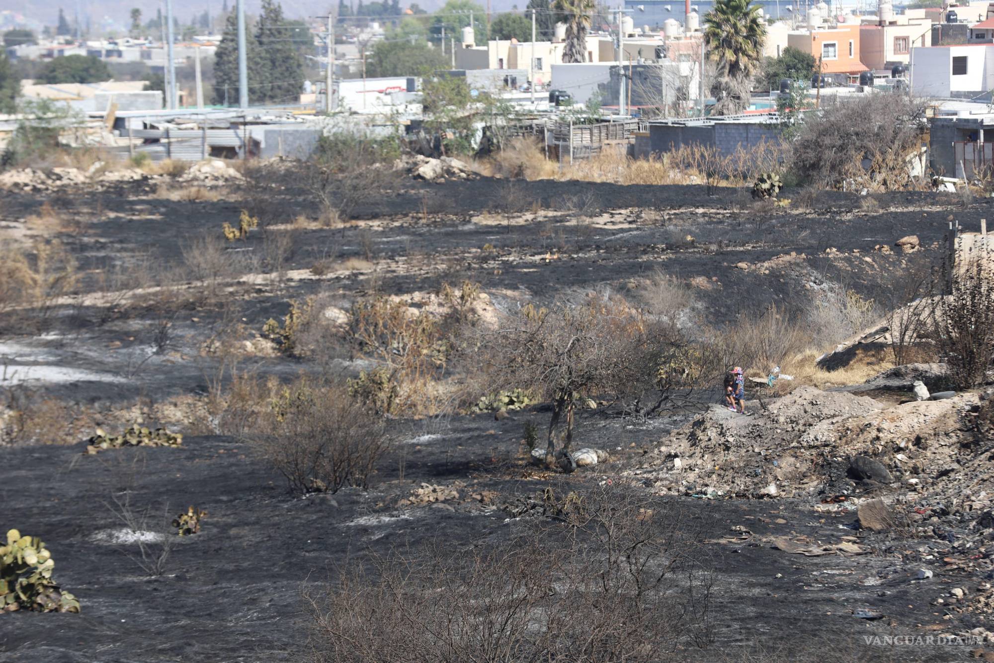 Saltillo: Fueron años de sacrificio consumidos por el fuego: afectados por incendio en Lomas del Refugio