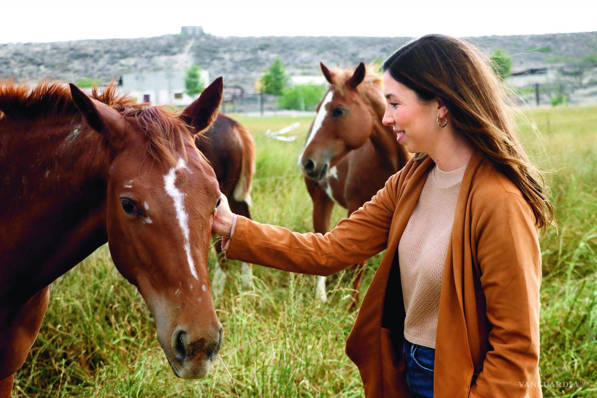 $!En las terapias, se coloca una energía específica en cada caballo, la cual puede representar a alguien o a una emoción, situación, lugar, etc.