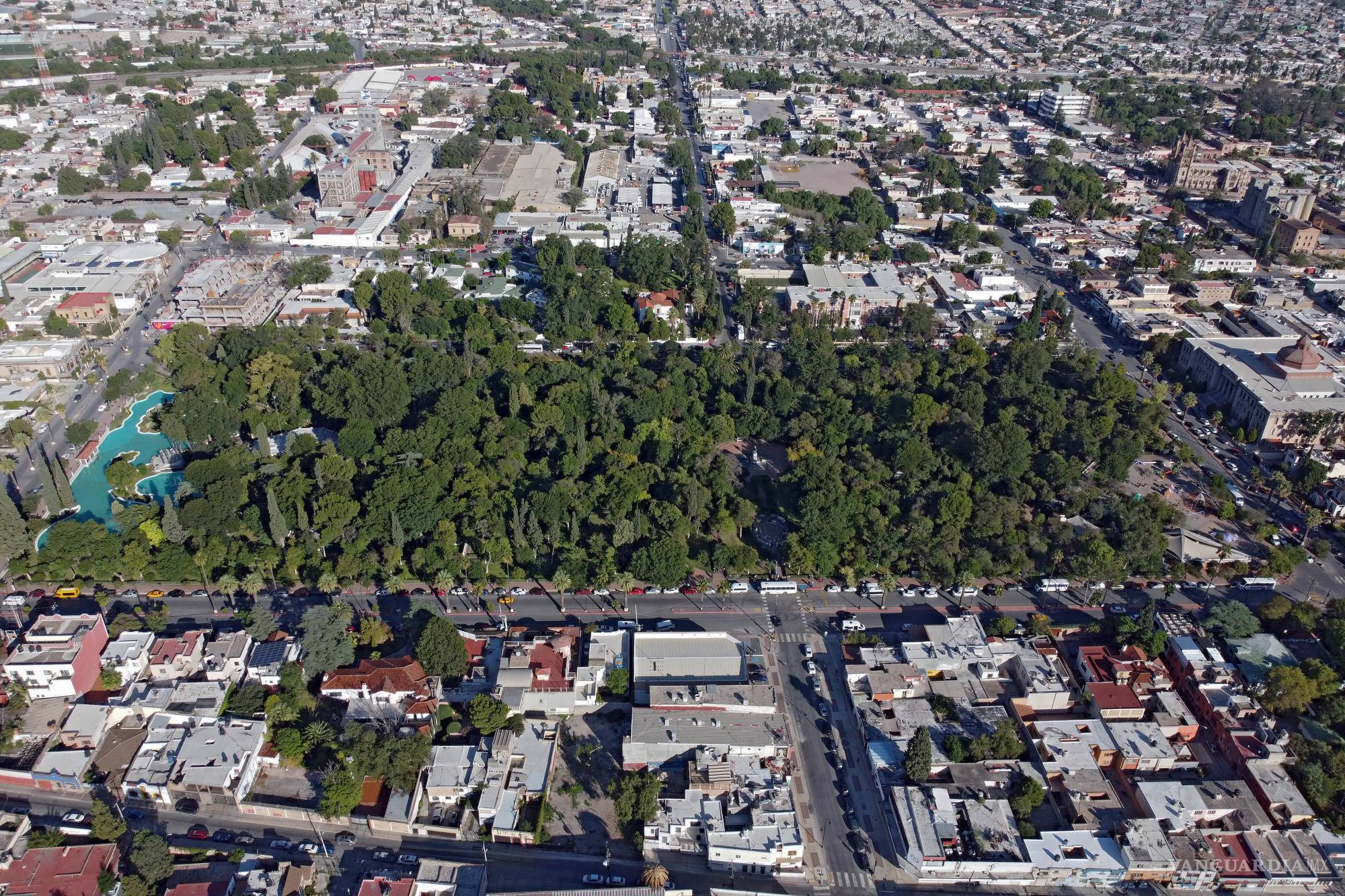 Mapeo de árboles en la Alameda de Saltillo, una opción para preservar las áreas verdes, dice experta en urbanismo del Colmex
