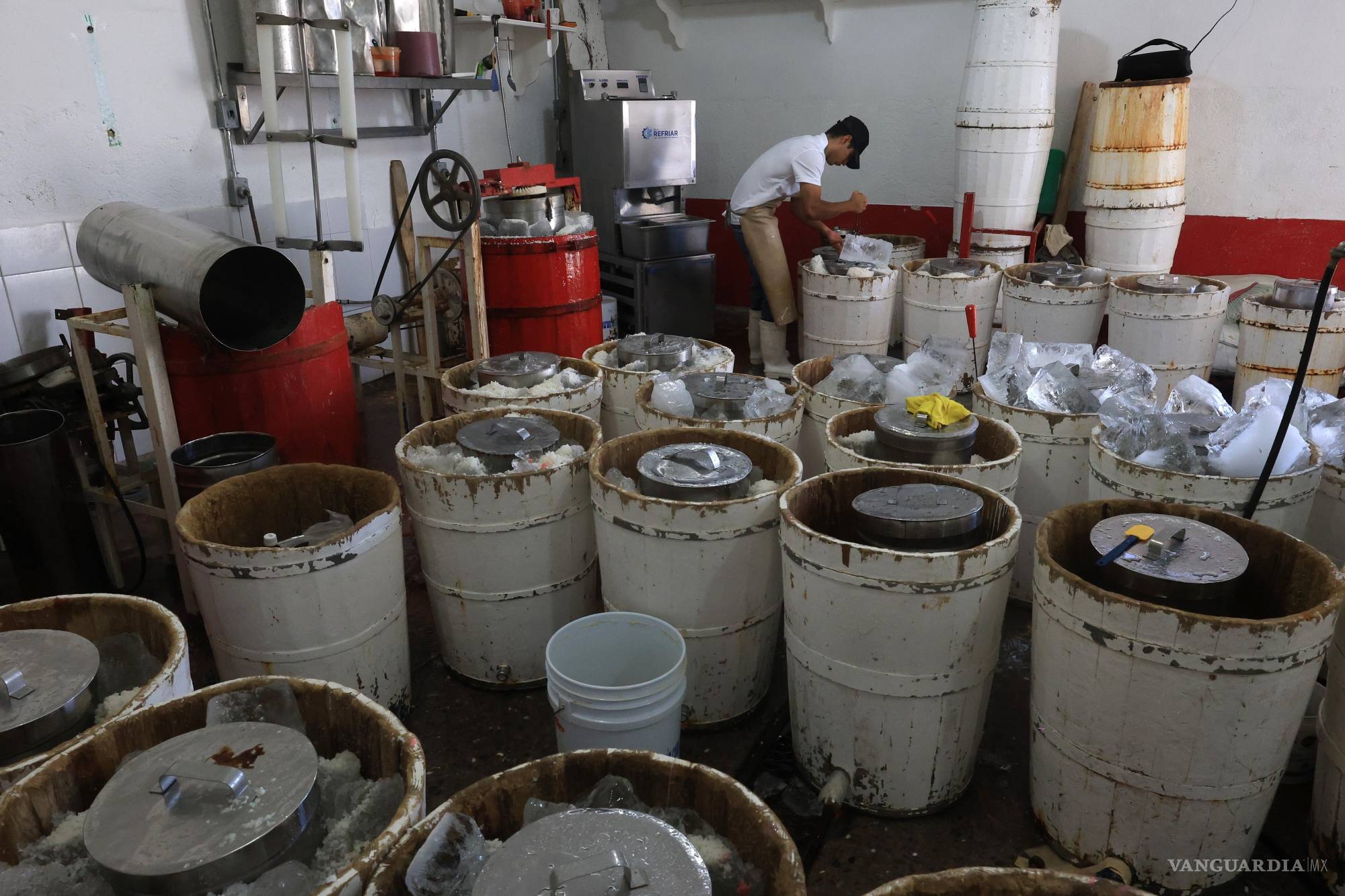 $!La familia Ramos prepara un gran evento en el Bosque Urbano para agradecer a la comunidad por 100 años de apoyo.