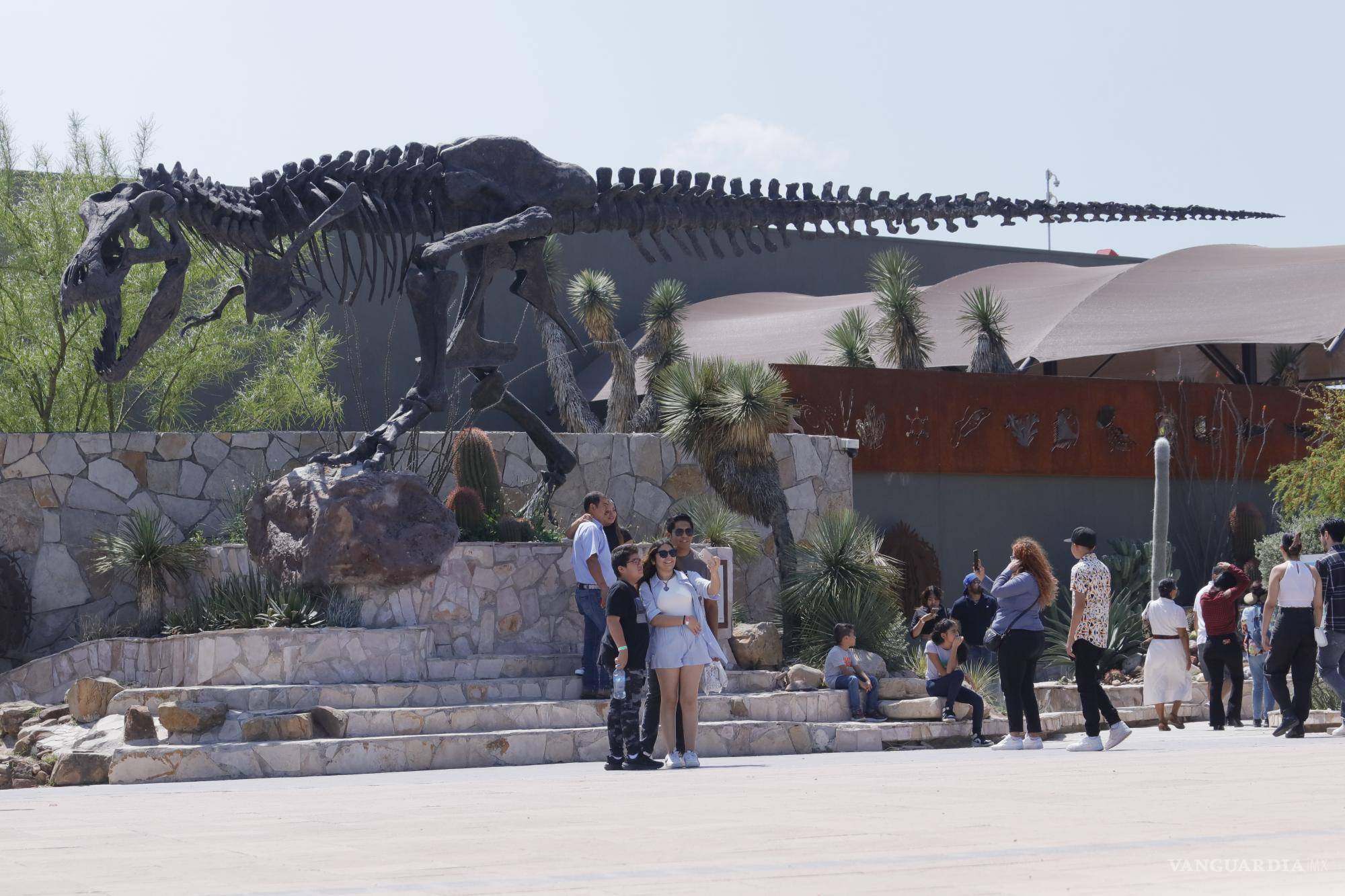 Aprovechar la AI y llegar a 500 mil visitantes al año, los retos del Museo del Desierto en Saltillo