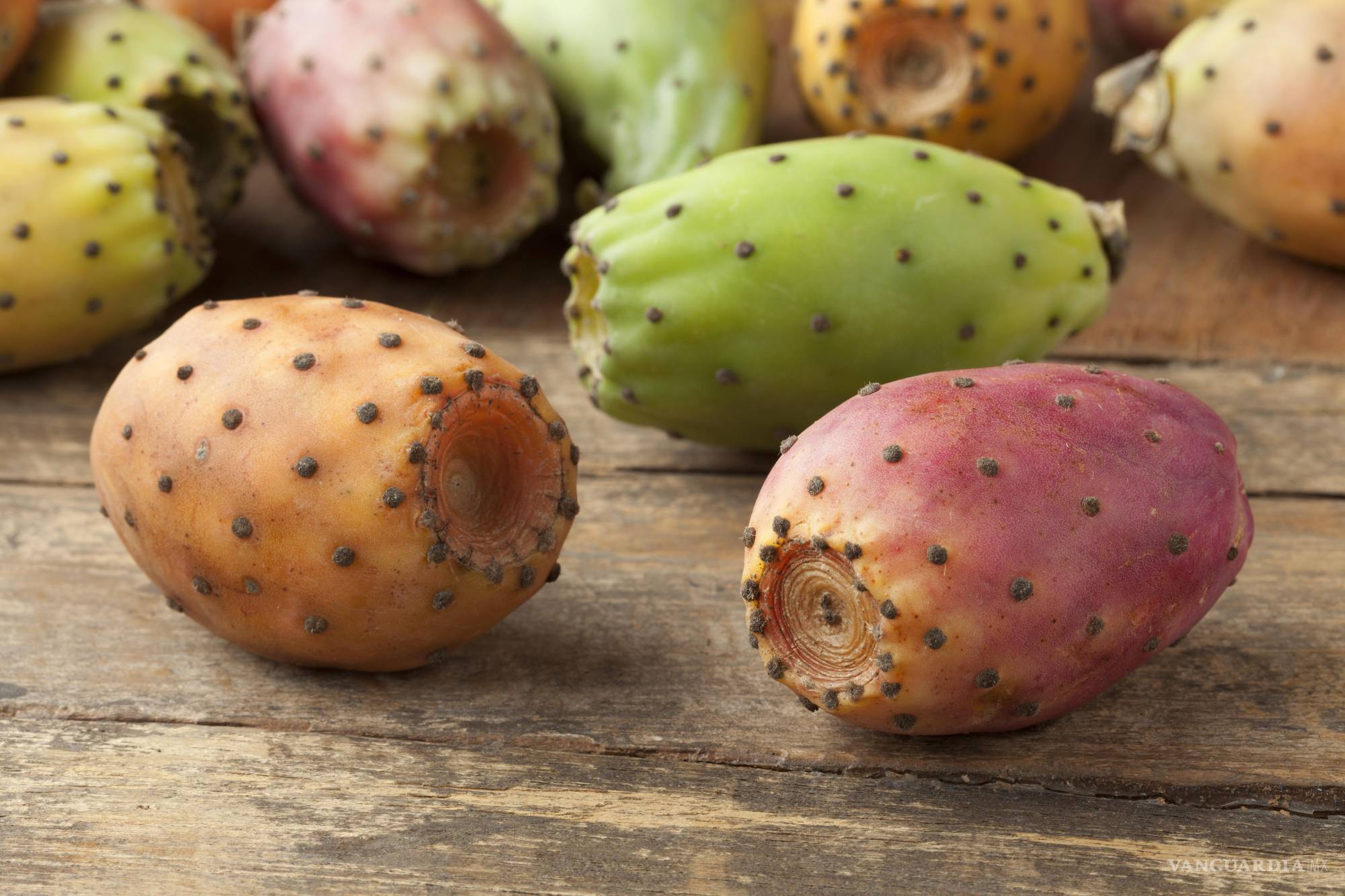 Tuna: beneficios, recetas y usos en la gastronomía del noreste mexicano