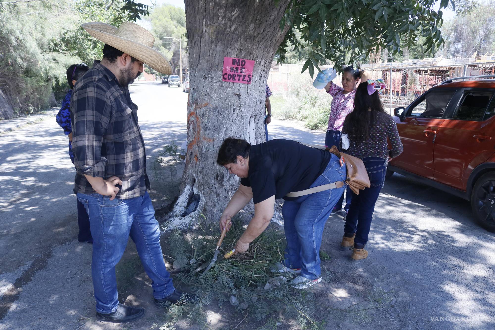 $!Saltillo-23-Julio-2023.El día de hoy, nuevamente, los vecinos de la calle Sauce se reunieron para tratar de limpiar y rescatar el árbol, ya que alguien intentó dañarlo con aceite, aparentemente de motor.