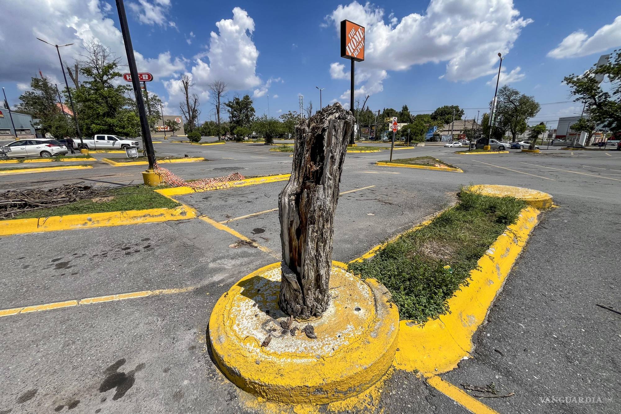 $!Este es uno de los ejemplares que se sepultaron.