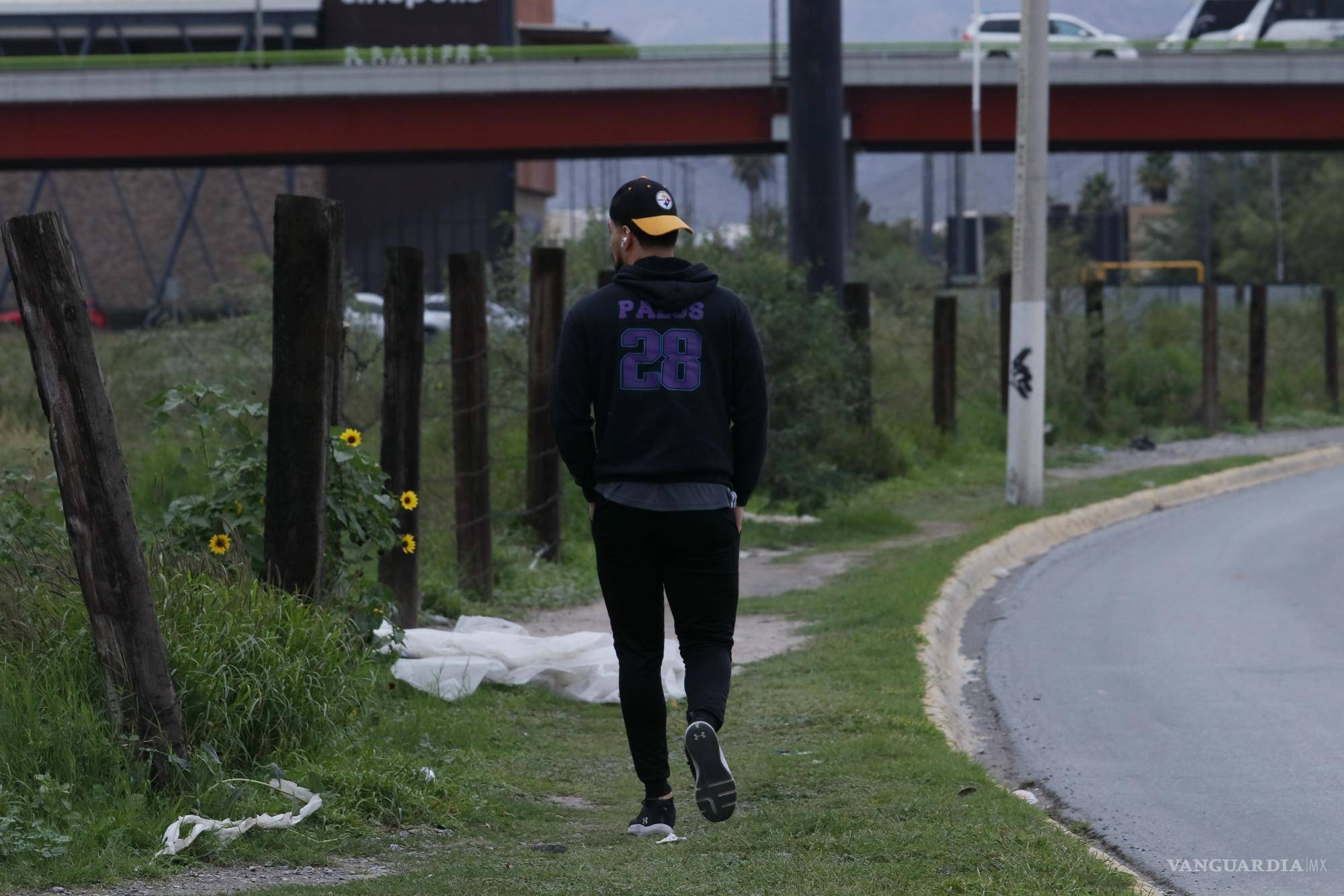 $!Existen banquetas levantadas por las raíces de los árboles, arbustos que empiezan a invadir el área peatonal o banquetas quebradas.