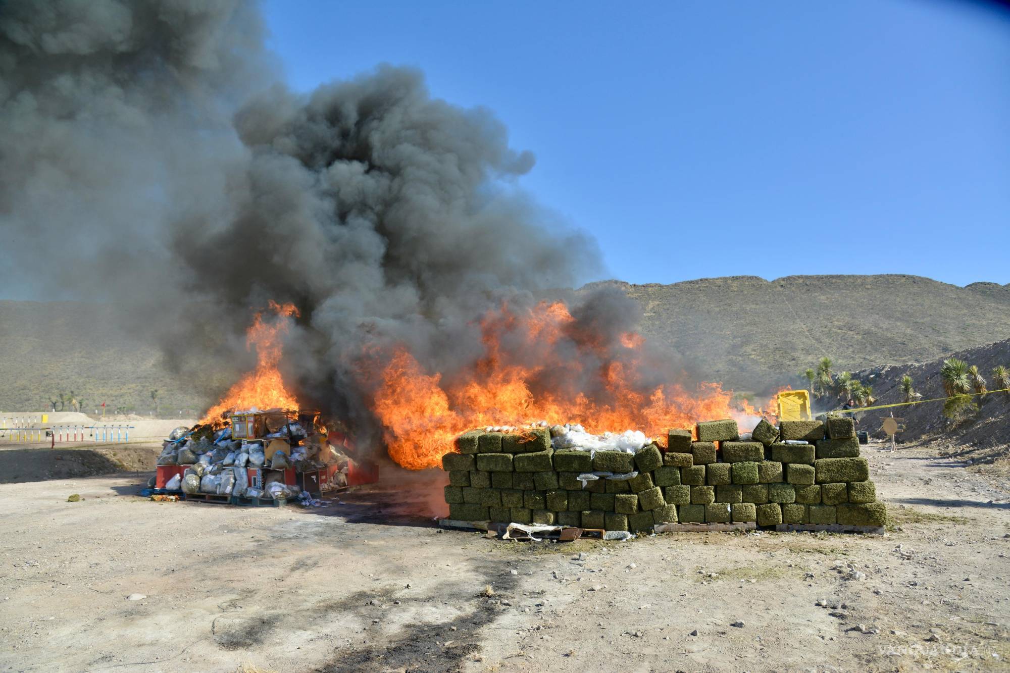 Coahuila: incinera droga valuada en 50 millones de pesos; reportan cifras récord en seguridad