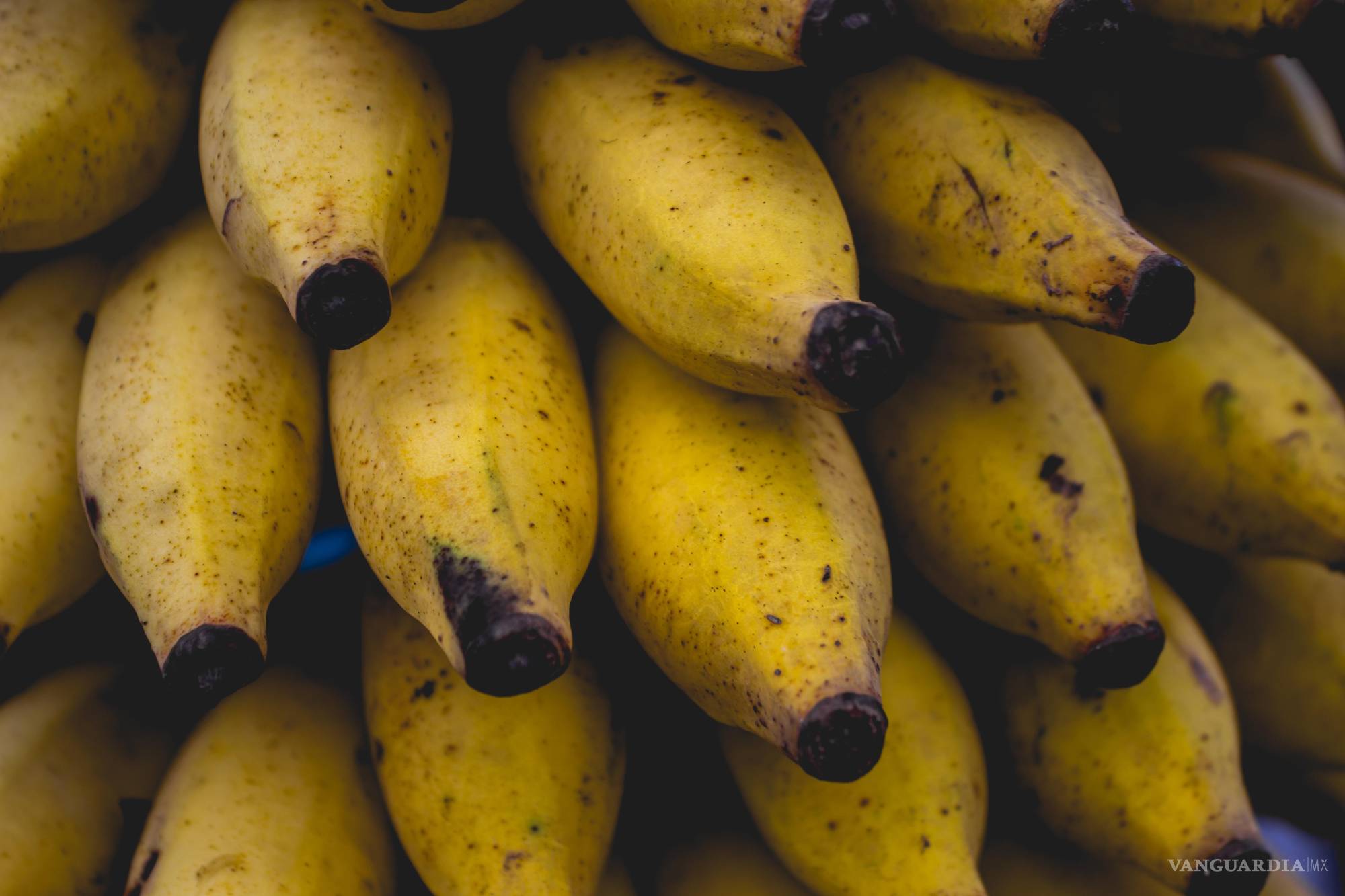 Sabores de Chiapas: un viaje gastronómico que conquista la parrilla