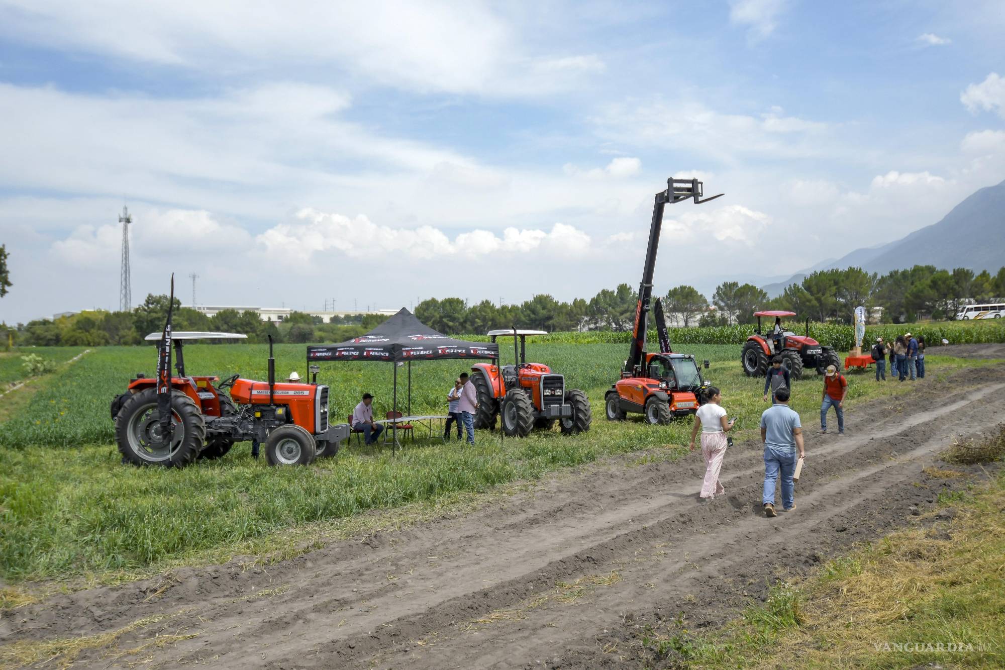 $!Productores del sector agropecuario muestran sus cultivos y ganado durante la Expo UAAAN 2025.