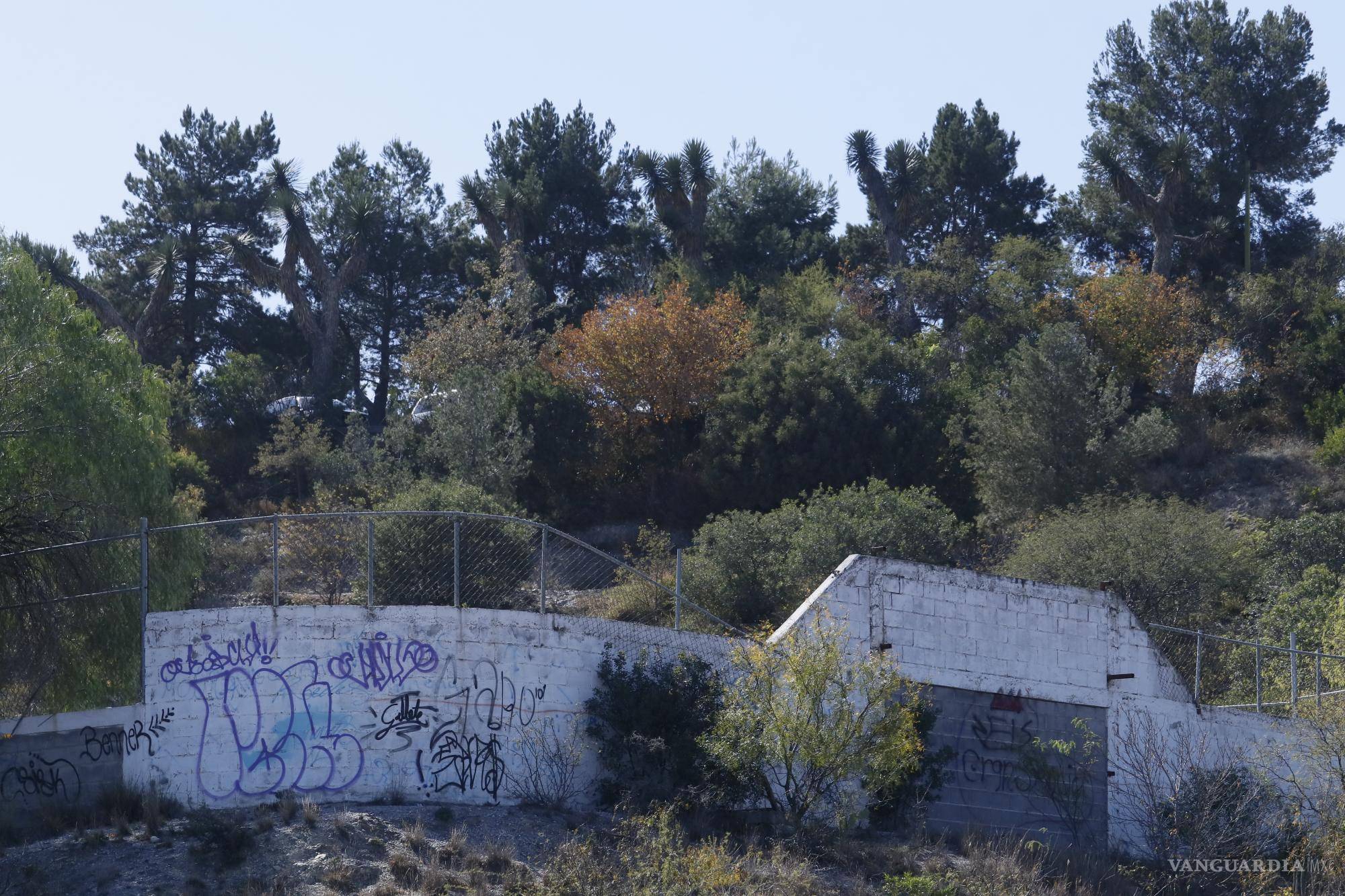 $!Muchas áreas del parque lucen abandonadas.