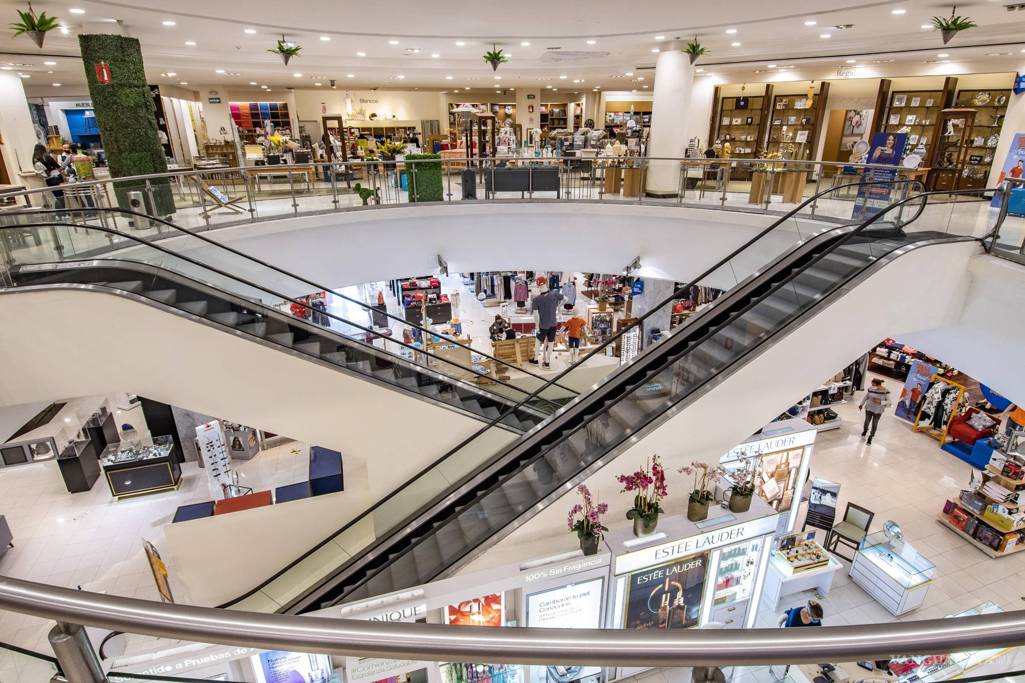 Celebra Cimaco 95 años de historia, innovación y cercanía con las familias mexicanas