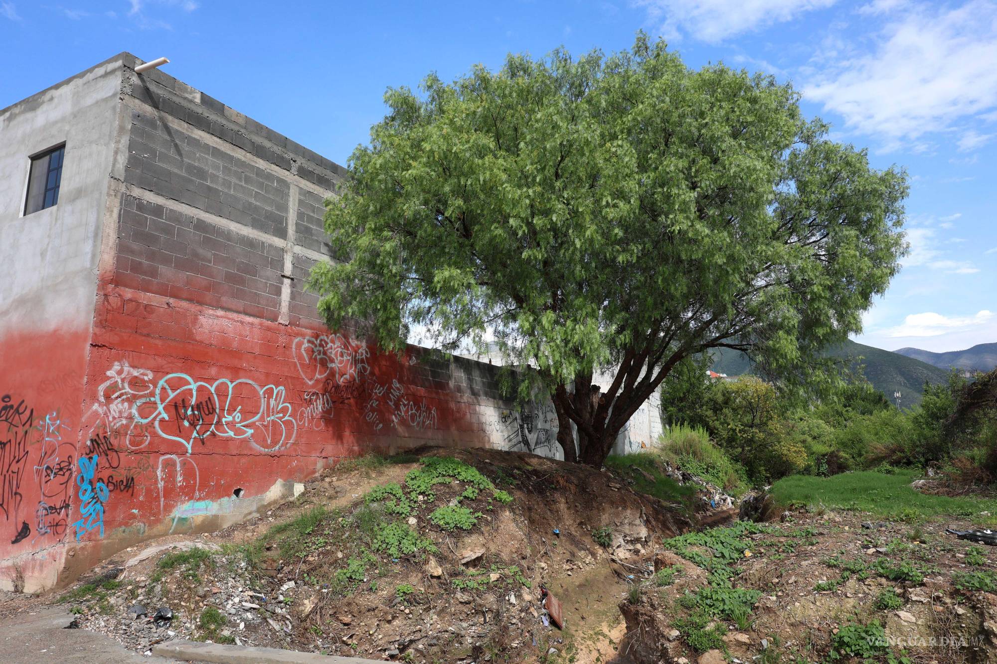 $!La falta de regularización legal impide que la familia acceda a servicios básicos esenciales, aumentando su vulnerabilidad frente a las lluvias.