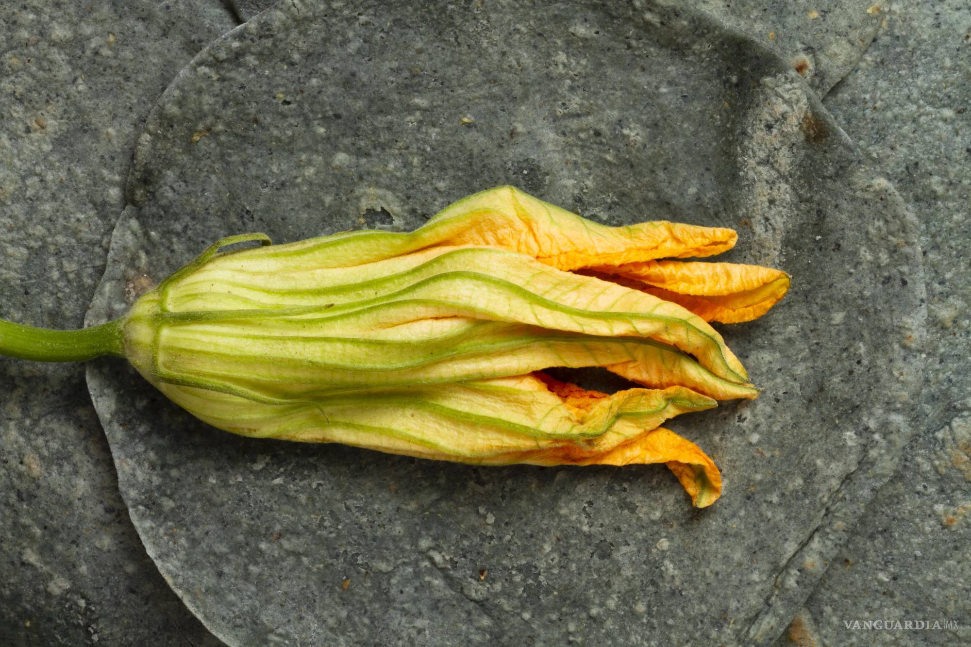 De la milpa al plato: homenaje a la flor de calabaza