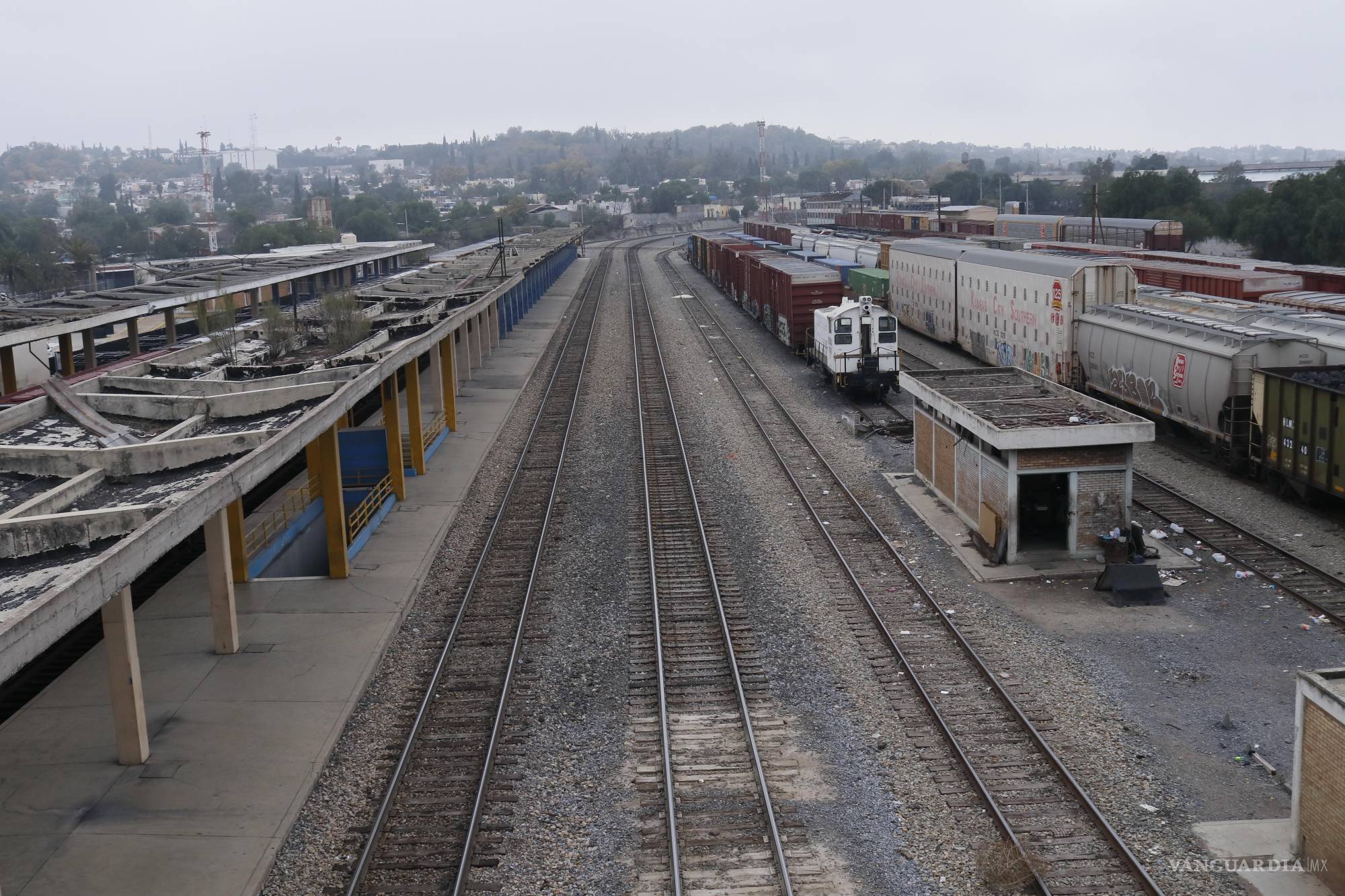 Interesa a 32 empresas tren de pasajeros en tramo Saltillo-Monterrey; 7 construyeron Tren Maya