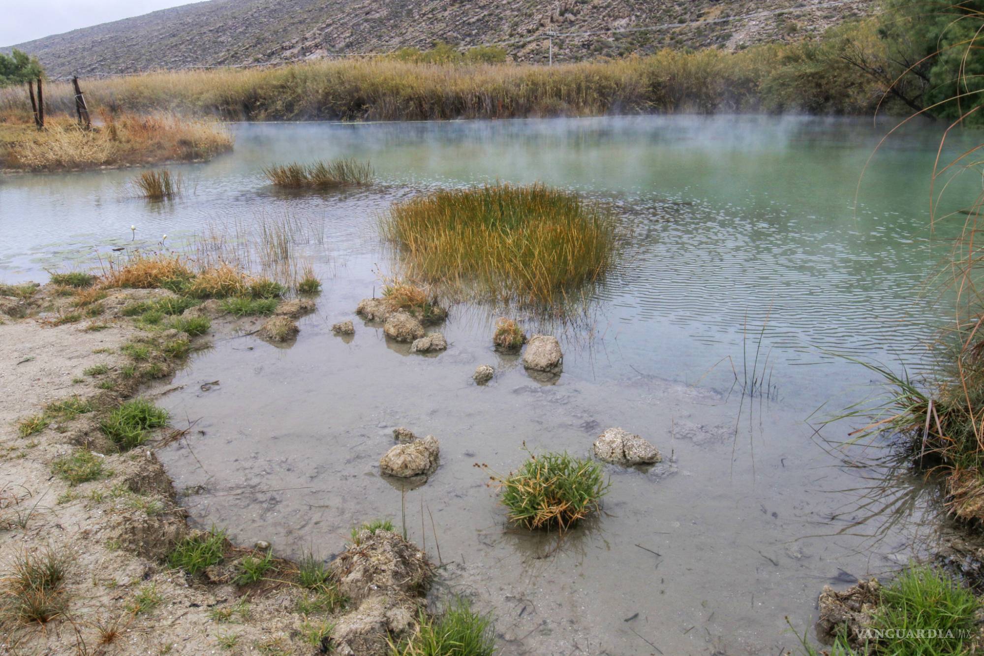 $!Valle de Cuatro Ciénegas, al borde del colapso; trasvase de agua lo agobia