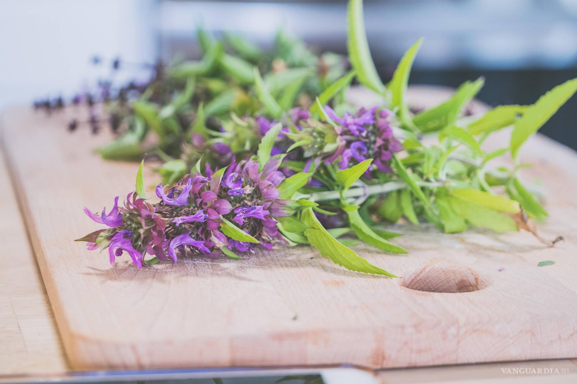 Lavanda: aroma, historia y un delicioso panqué 