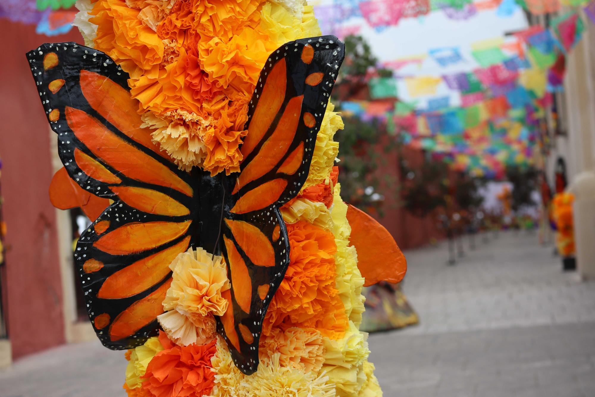 $!También se celebrará el paso de la mariposa monarca por la ciudad.
