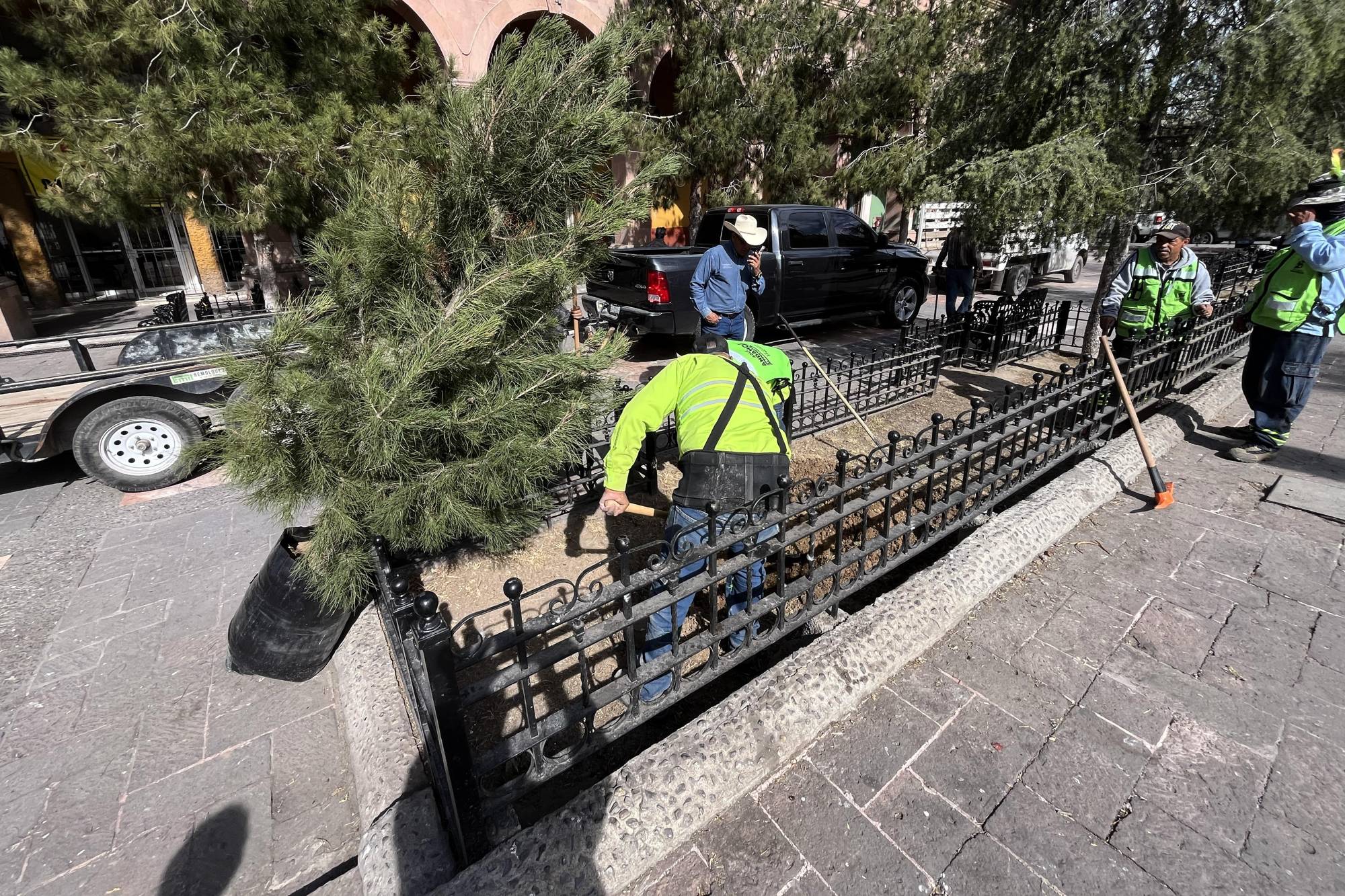 $!El Reglamento de Equilibrio Ecológico establece que toda tala de árboles debe ser justificada y acompañada de una reposición obligatoria.