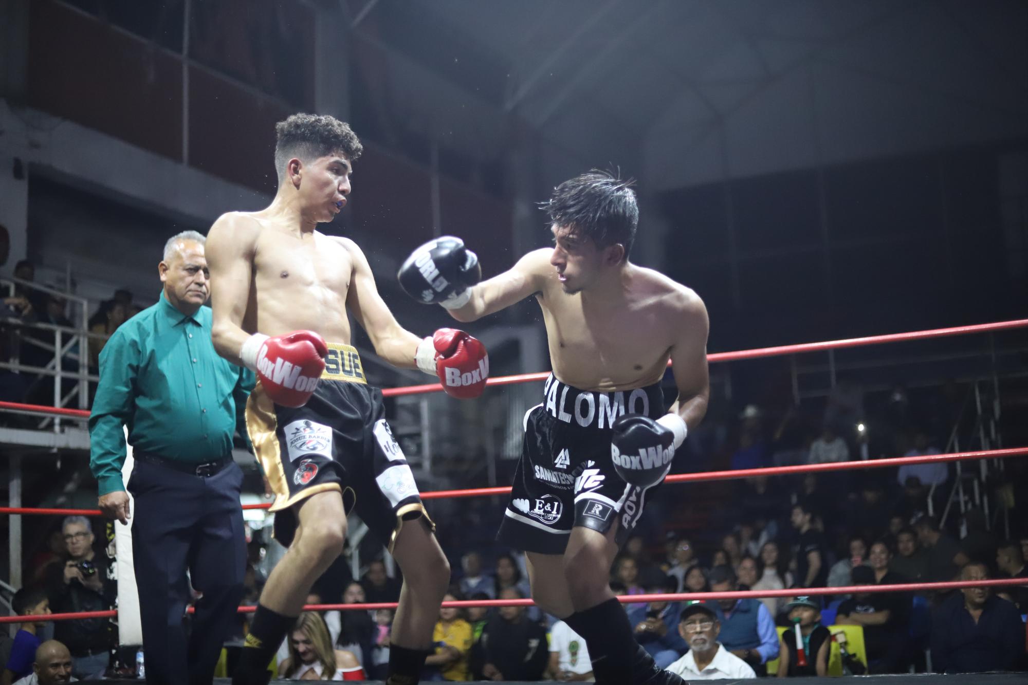 $!Palomo demostró el poderío con el que iniciará su carrera como boxeador.