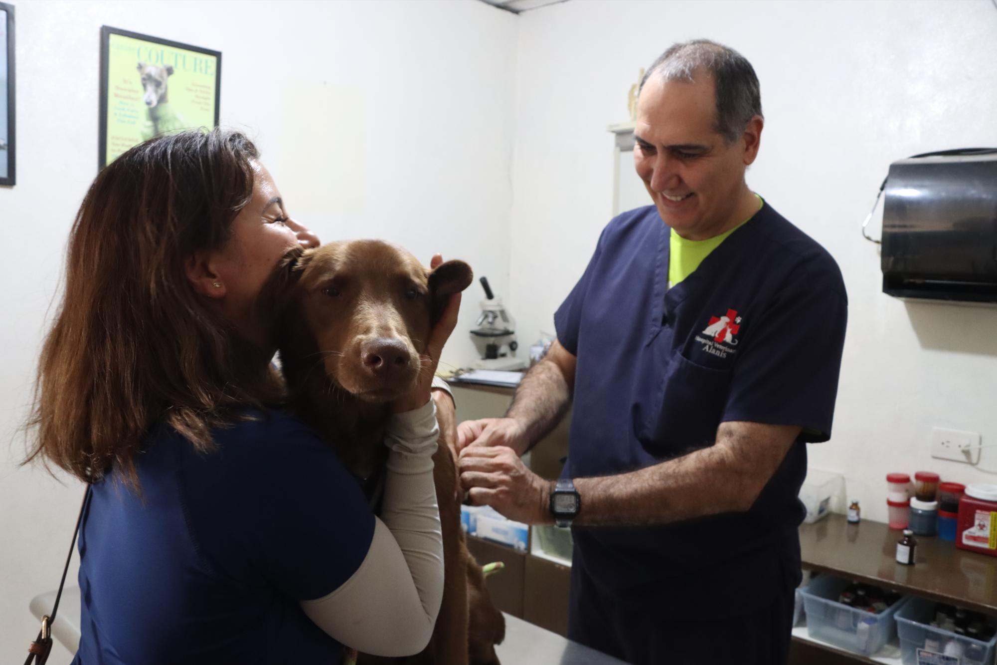 $!En algunos casos, donde la mascota es nerviosa o se trata de un felino, las veterinarias aplican anestesia a las mascotas.