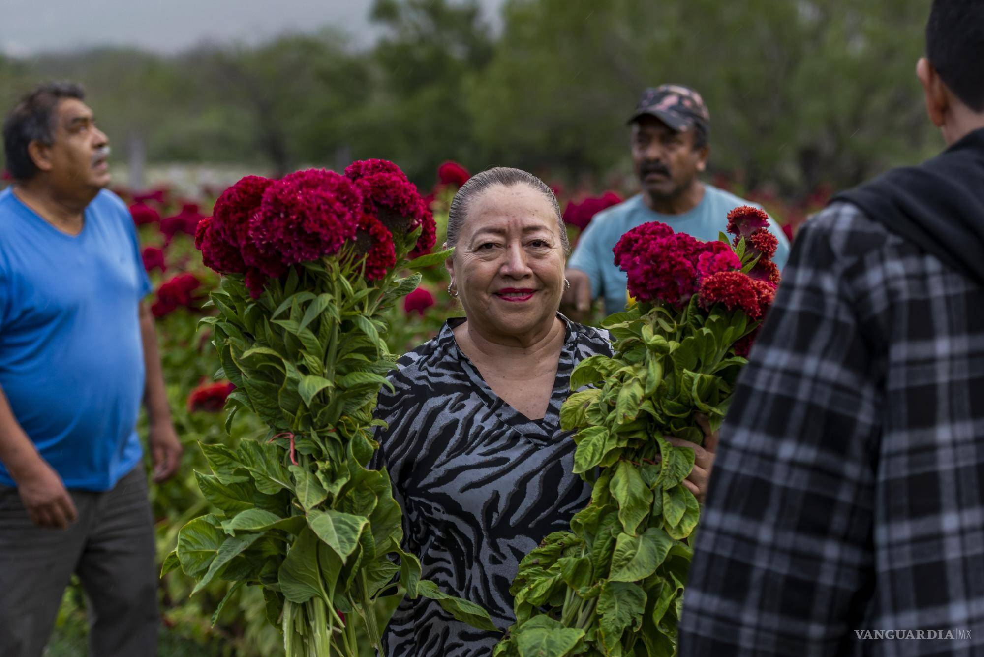 $!Explorando los sembradíos: Rinconada, un paraíso de flores en García.