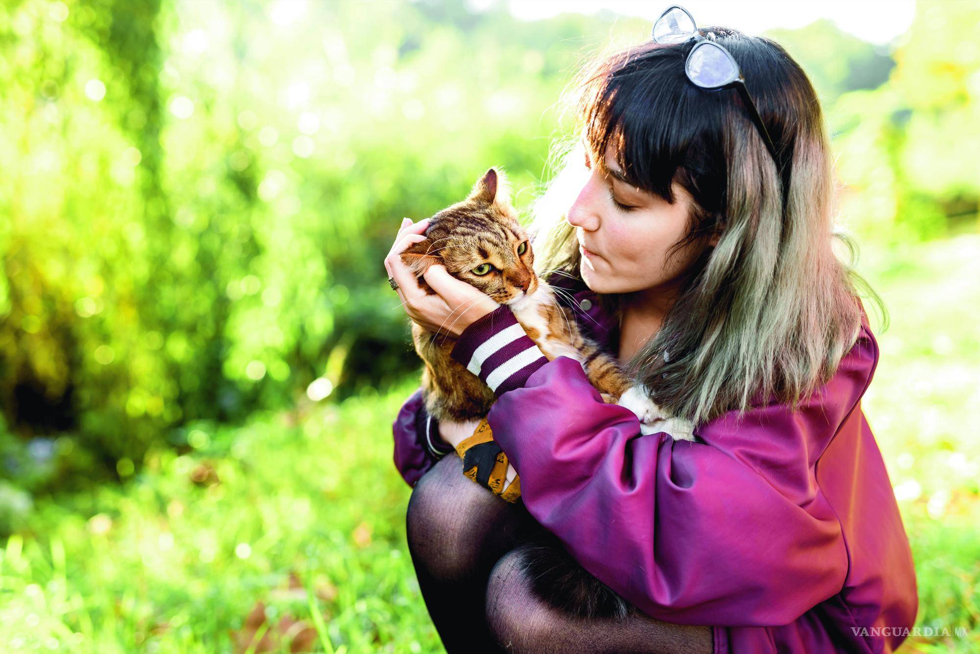 $!Si tu ‘michi’ se frota con tu pierna, manos o cara, está marcándote con sus hormonas para alejar a otros gatos.