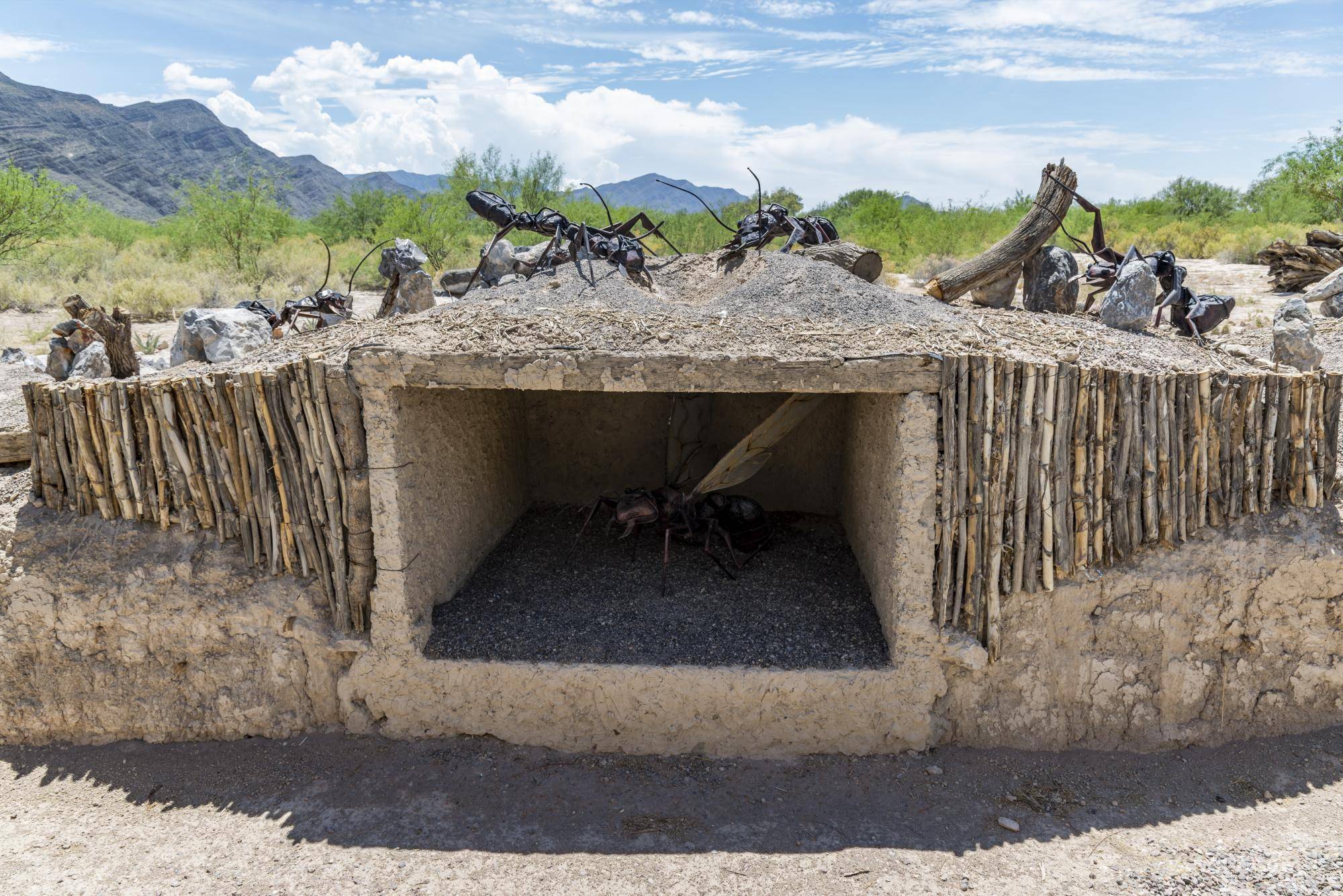 $!En el Centro de Investigación y Jardín Etnobiológico se estudian especies adaptadas a condiciones extremas en Coahuila.