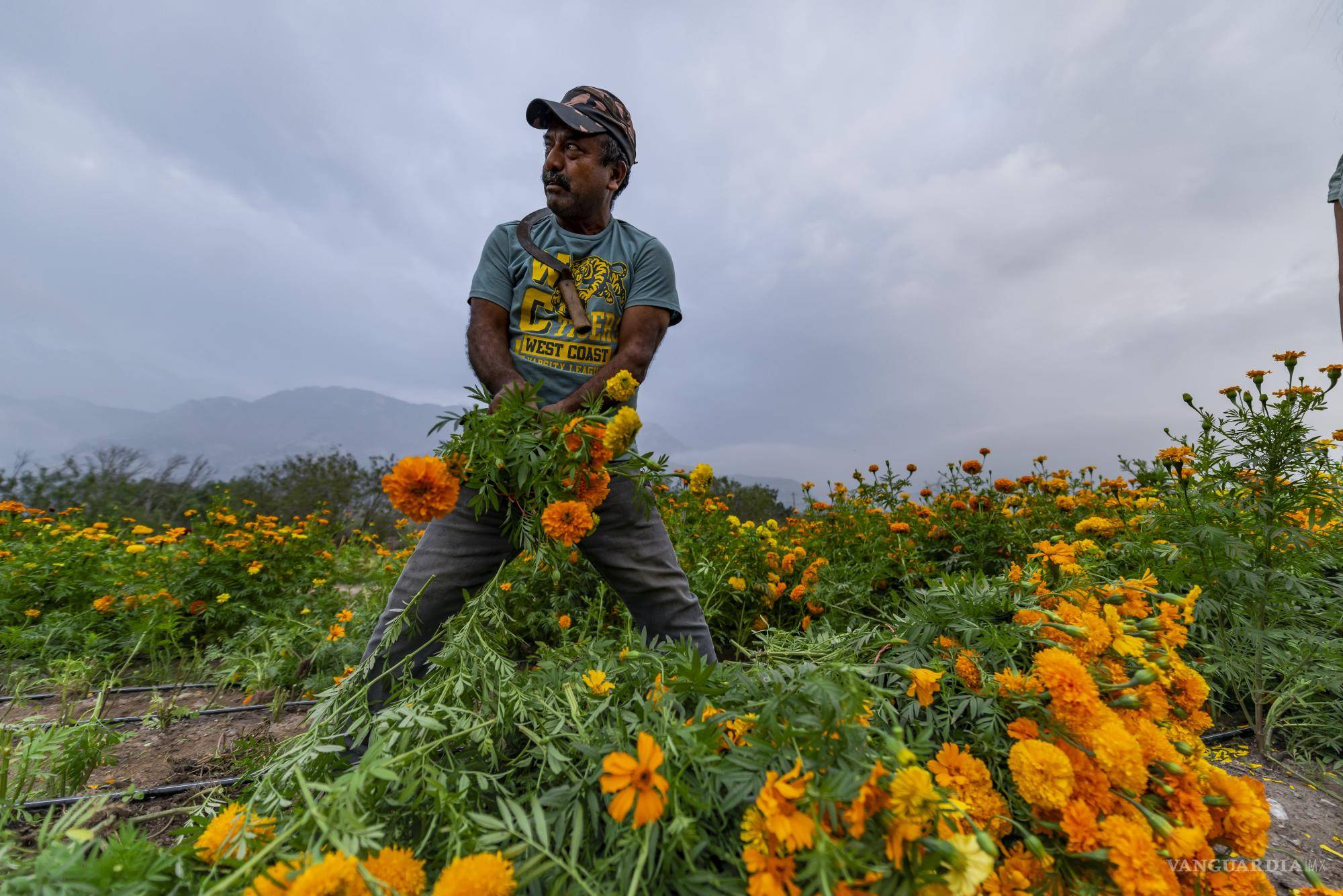 $!El legado de generaciones: 100 años de siembra en el ejido García.
