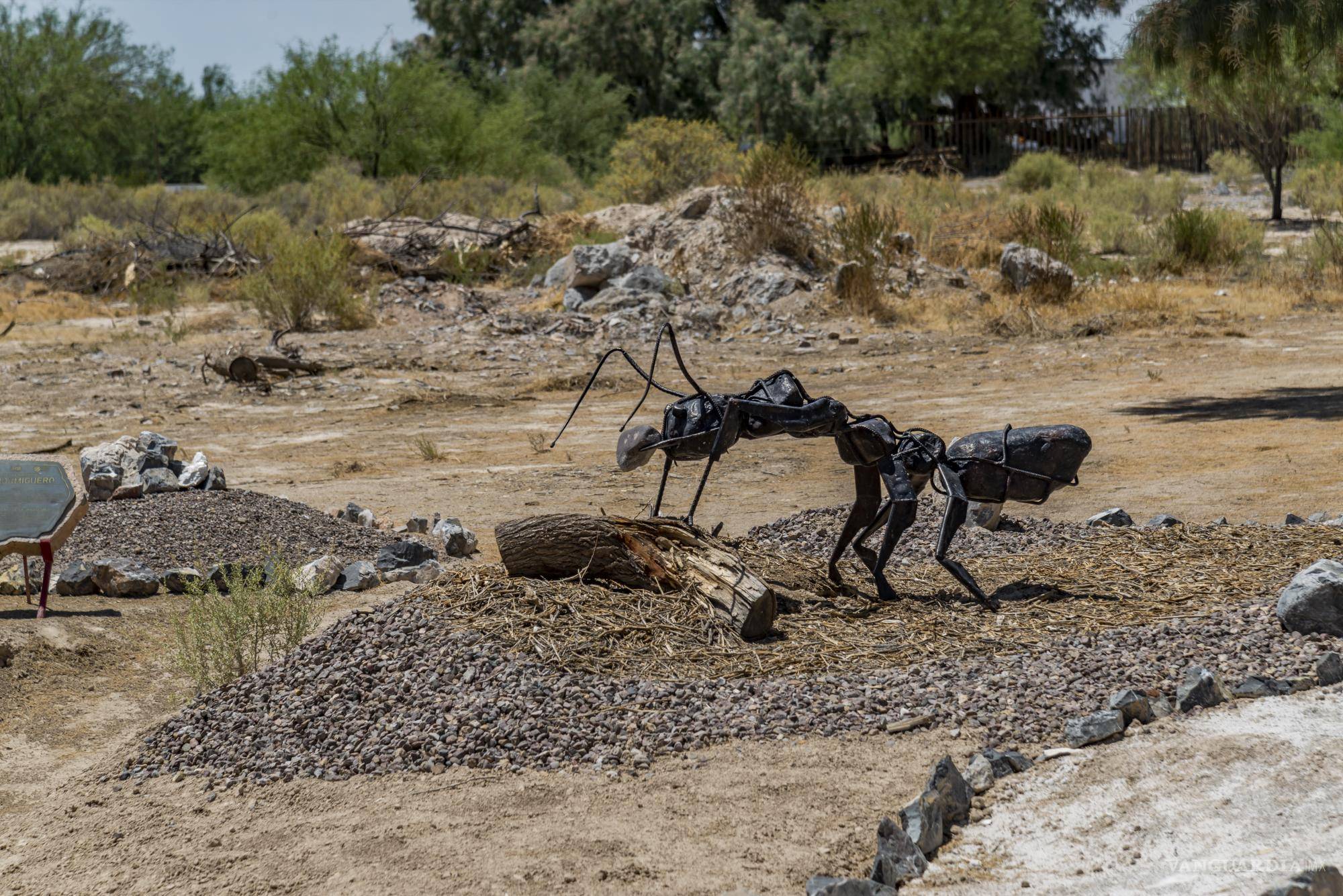 $!Esculturas detalladas representan la vida en un hormiguero en el museo de sitio del CIJE.