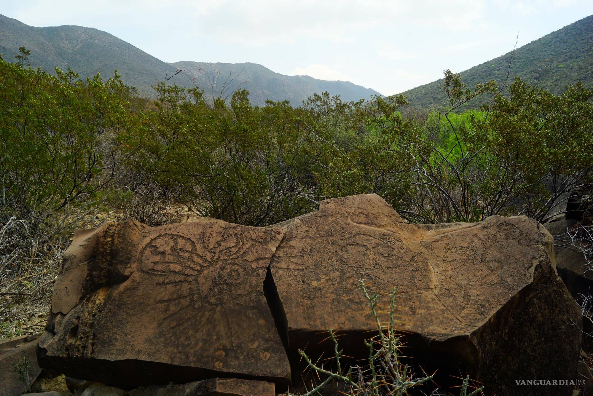 $!Los petroglifos de la región muestran registros de