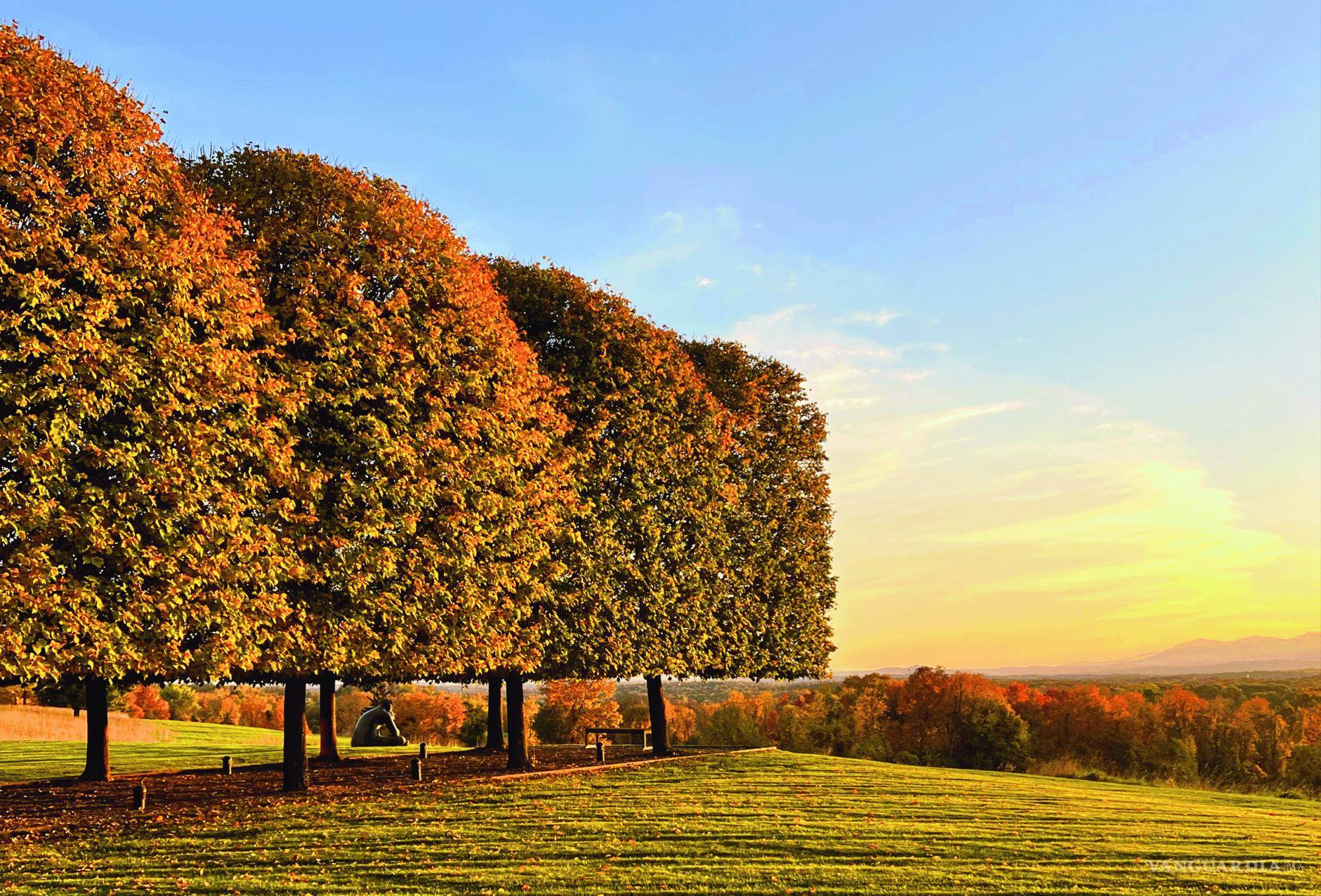 $!Su trabajo se encuentra en casas particulares, desarrollos comerciales y espacios públicos.