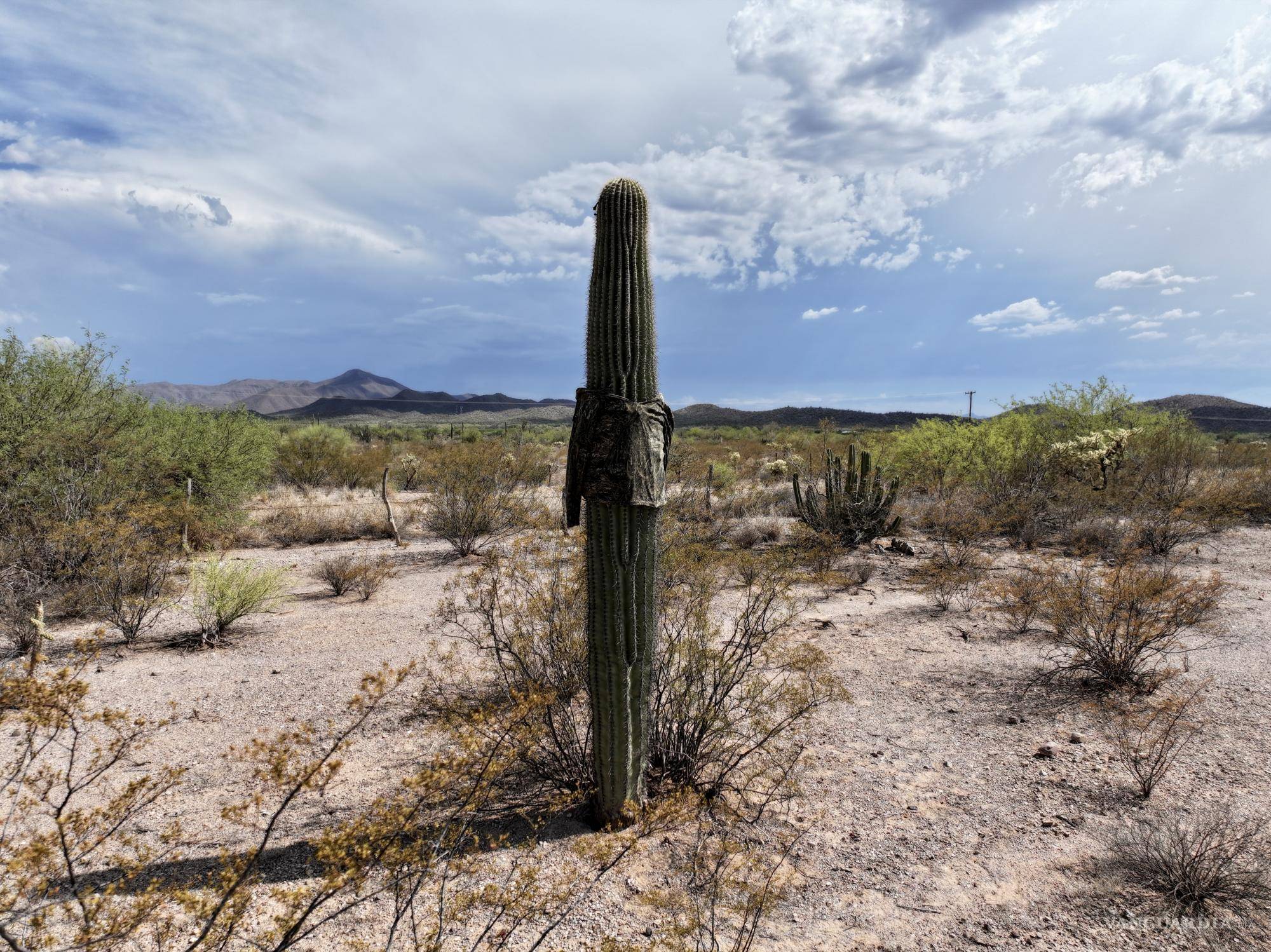 $!La exposición también incluye una fotografía que retrata claramente el paisaje que recorren los migrantes.