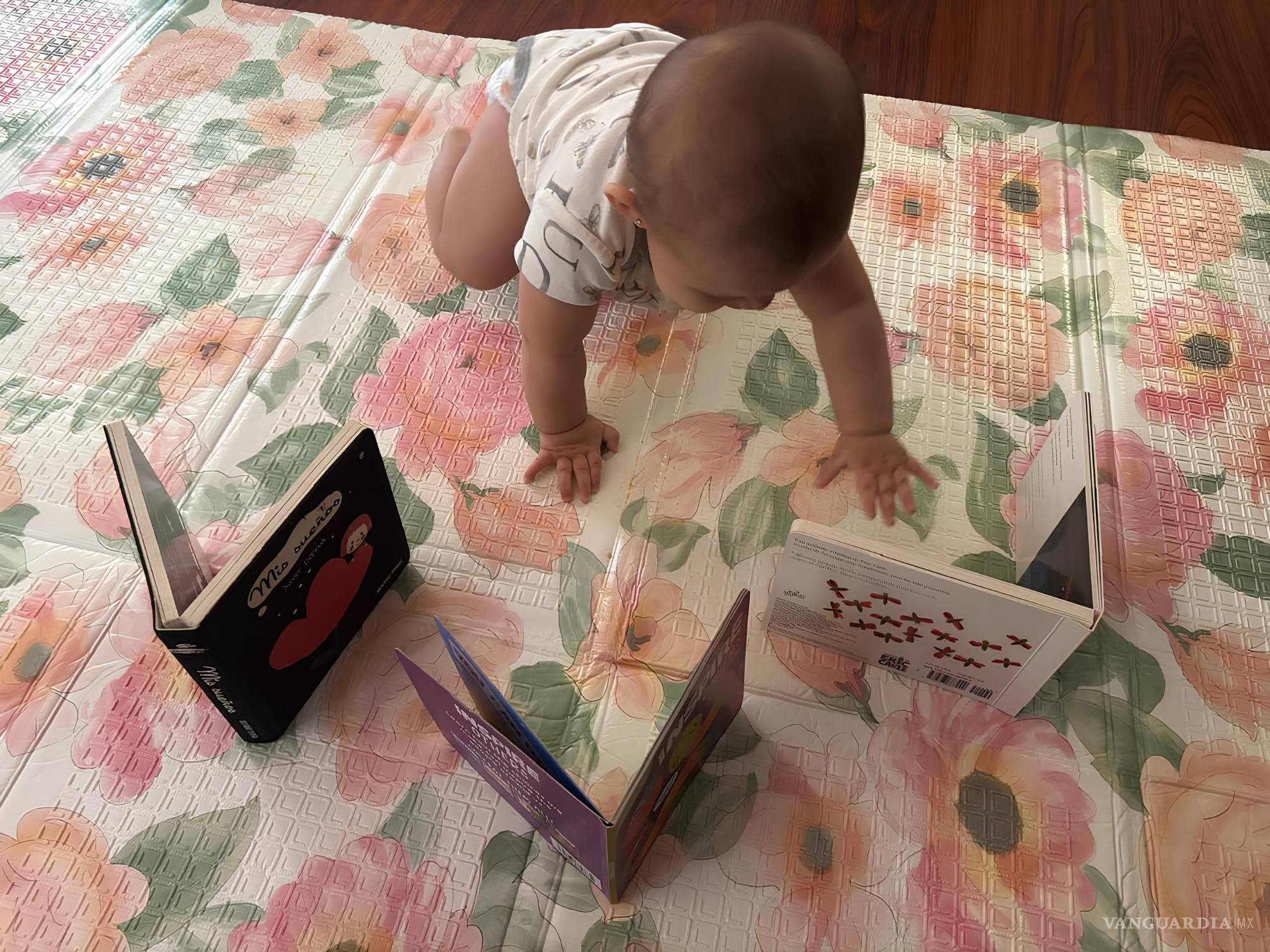 $!Un bebé explora libros de cartón durante una sesión de lectura temprana, una práctica que fomenta la curiosidad y el vínculo afectivo desde los primeros meses.