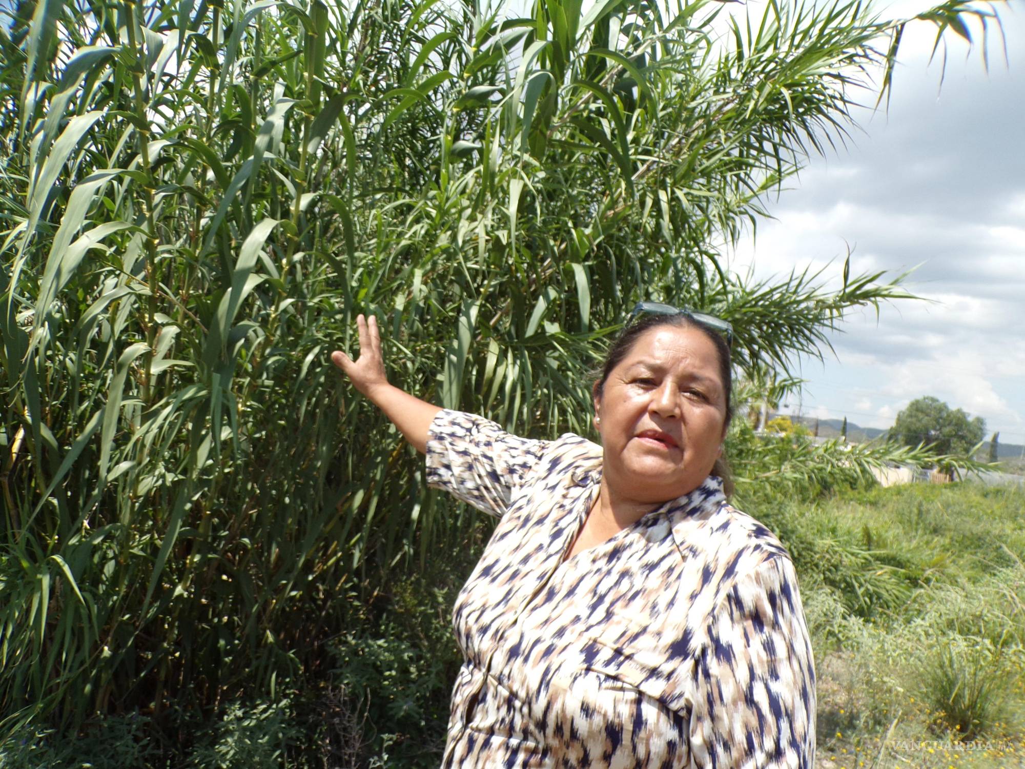 Saltillo: vecina de Puerto de Flores vive bajo el acecho del agua por obra en cauce de arroyo
