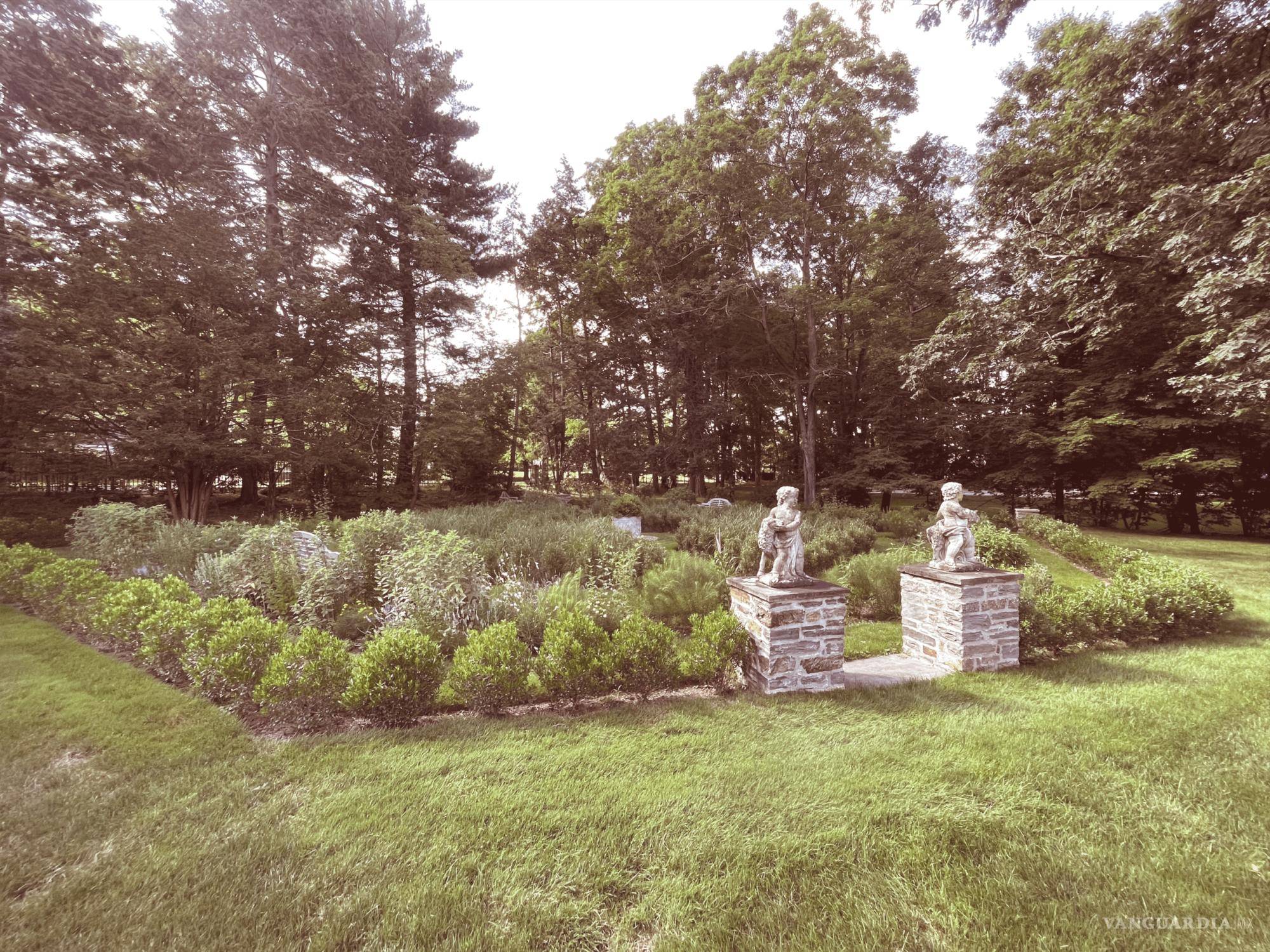 $!“Tomé la decisión de hacer este cambio profesional, porque tenía a mis hijos y tenía que estar en la ciudad de Nueva York”, cuenta la paisajista.