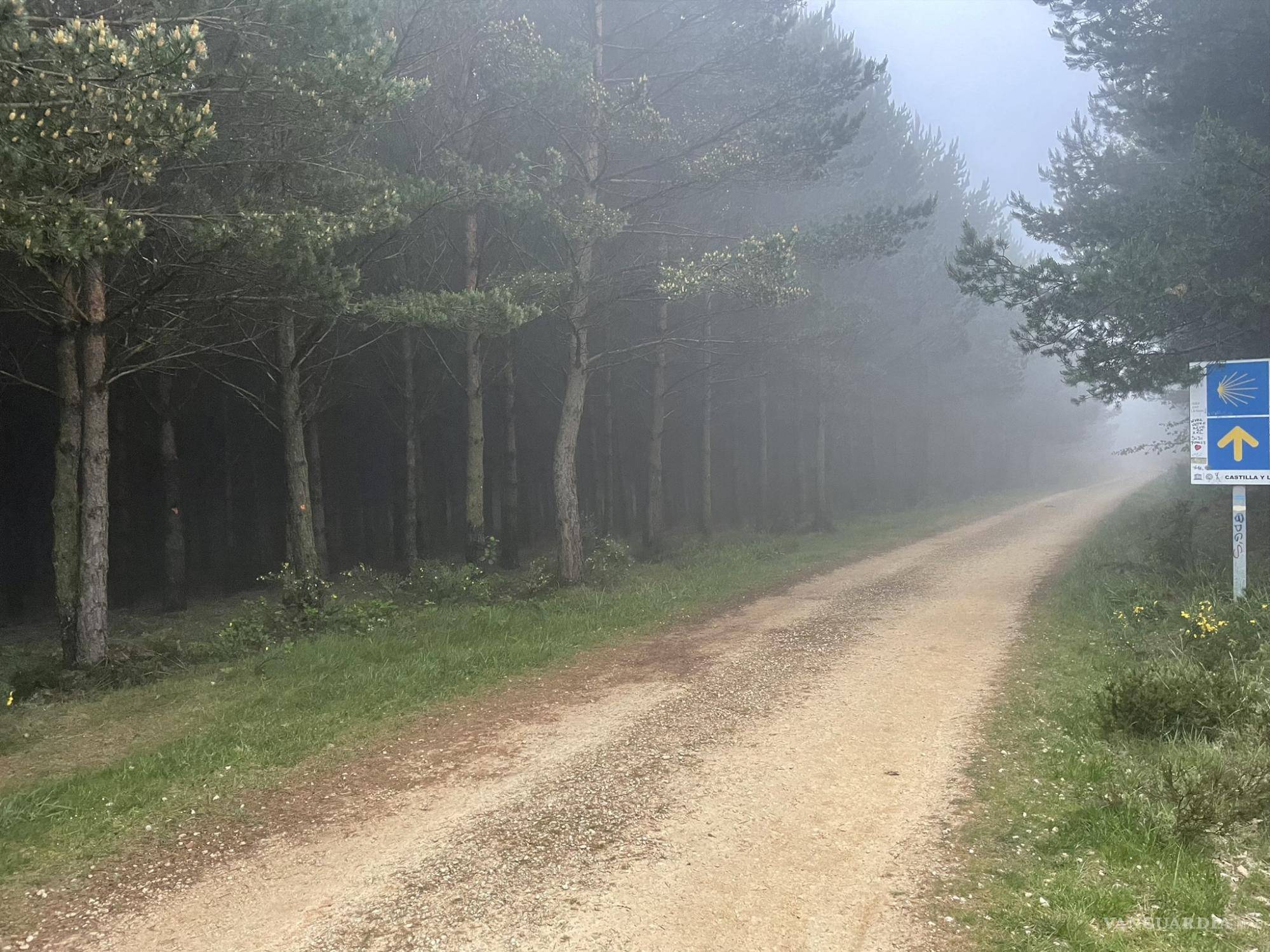 $!Don Paco, el saltillense de corazón que cumplió su sueño en el Camino de Santiago