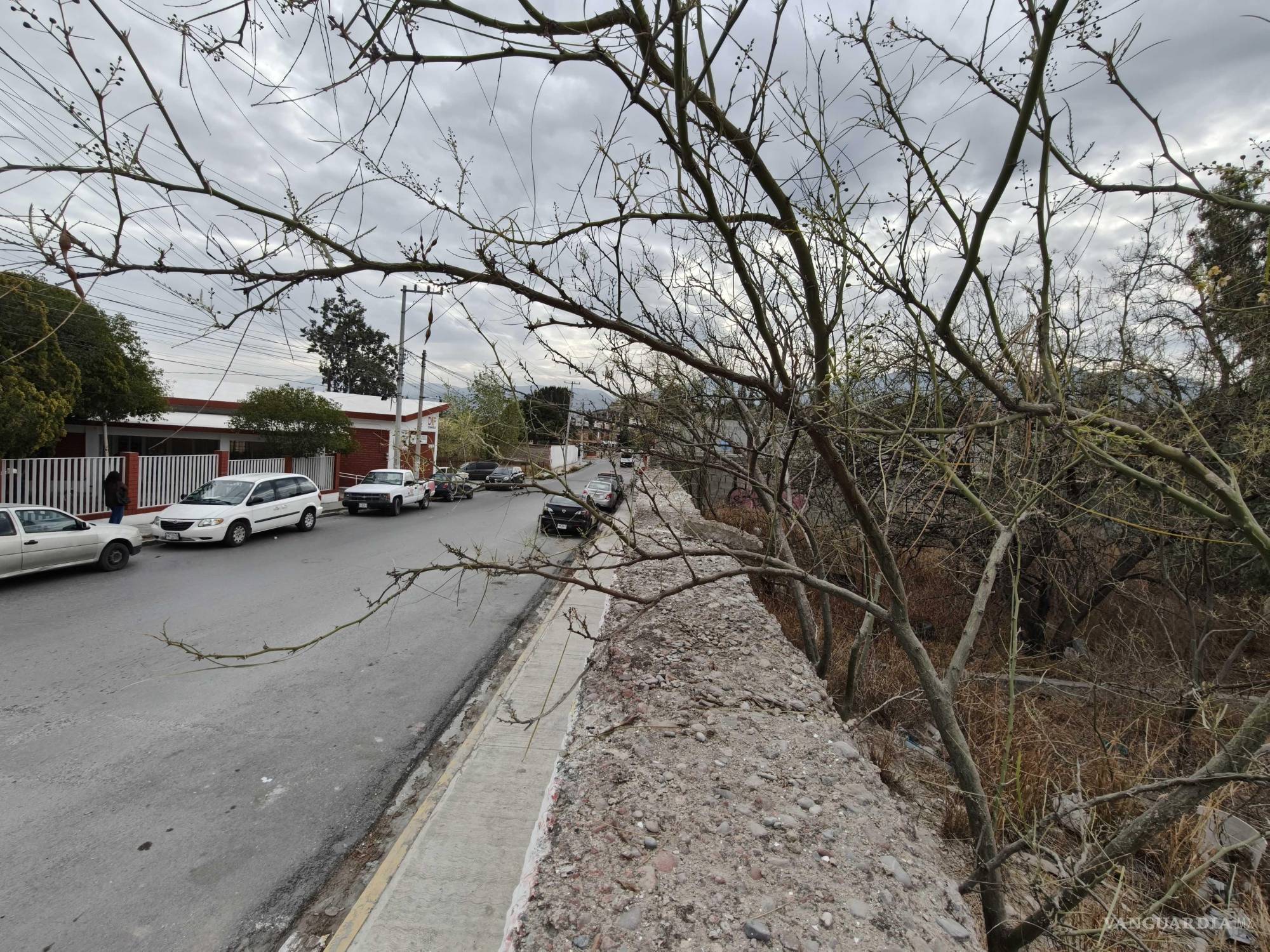 $!El intento de despojo incluyó el uso de maquinaria pesada y la instalación de un portón, según relataron los afectados.