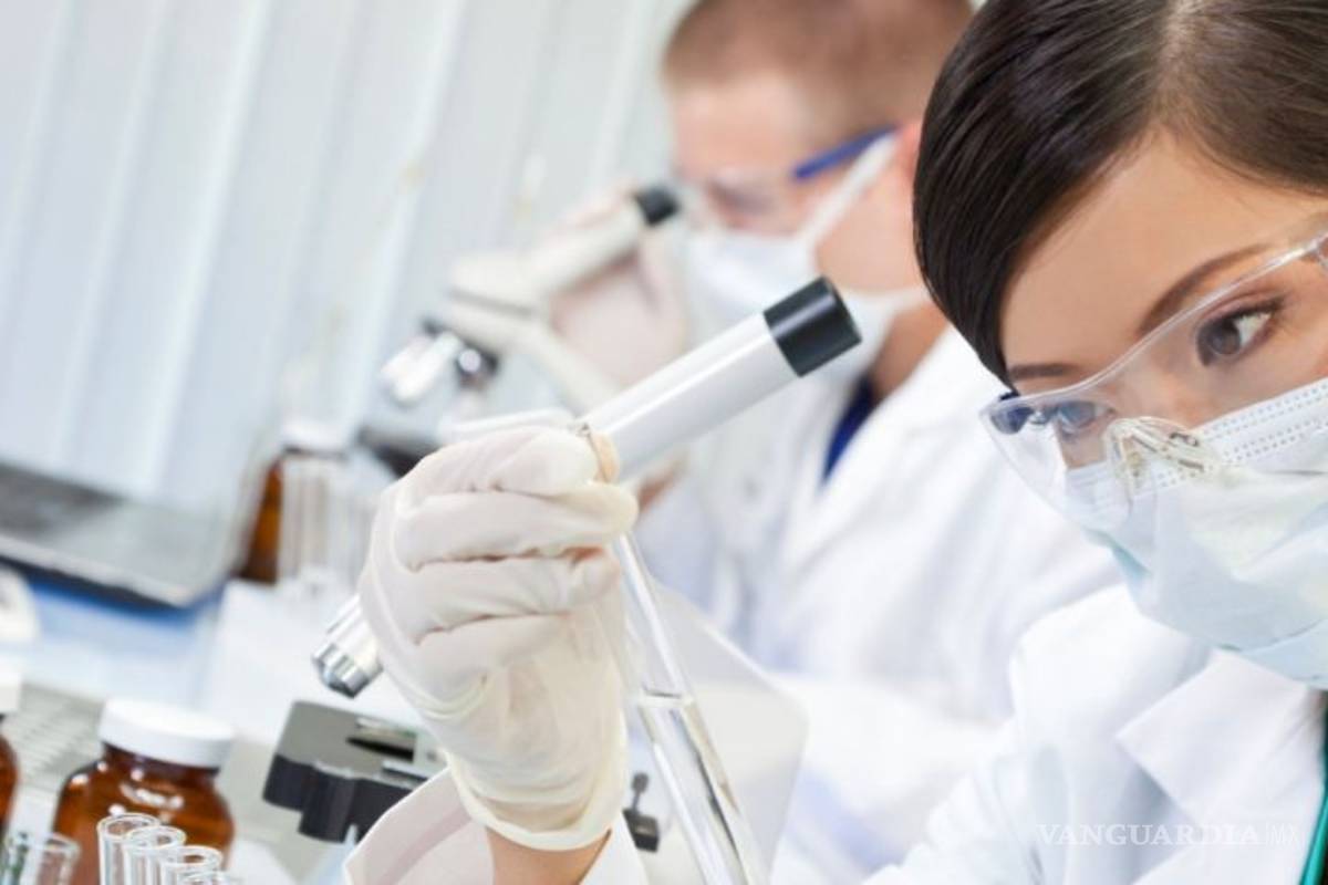 Coronavirus: Identifican al menos 115 proyectos de vacunas contra el Covid-19