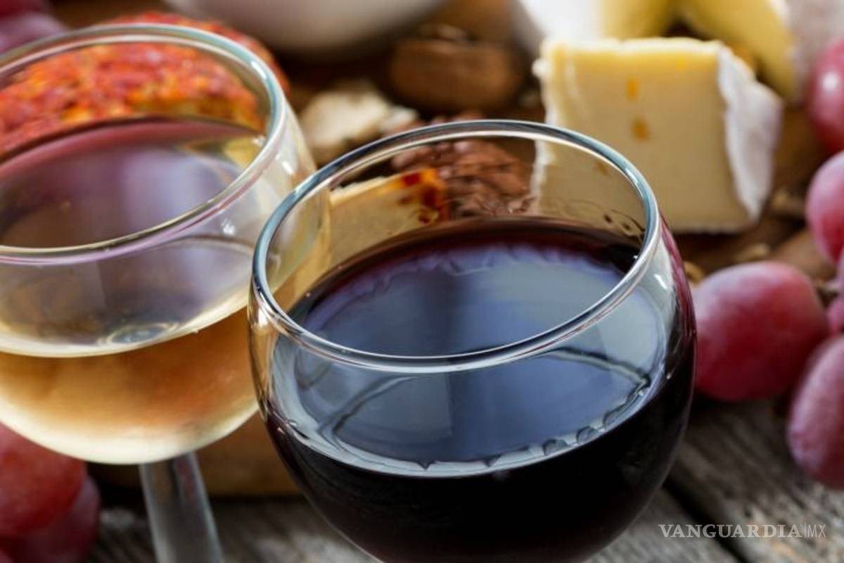 Esperan producción de 3.5 millones botellas de vino en Coahuila