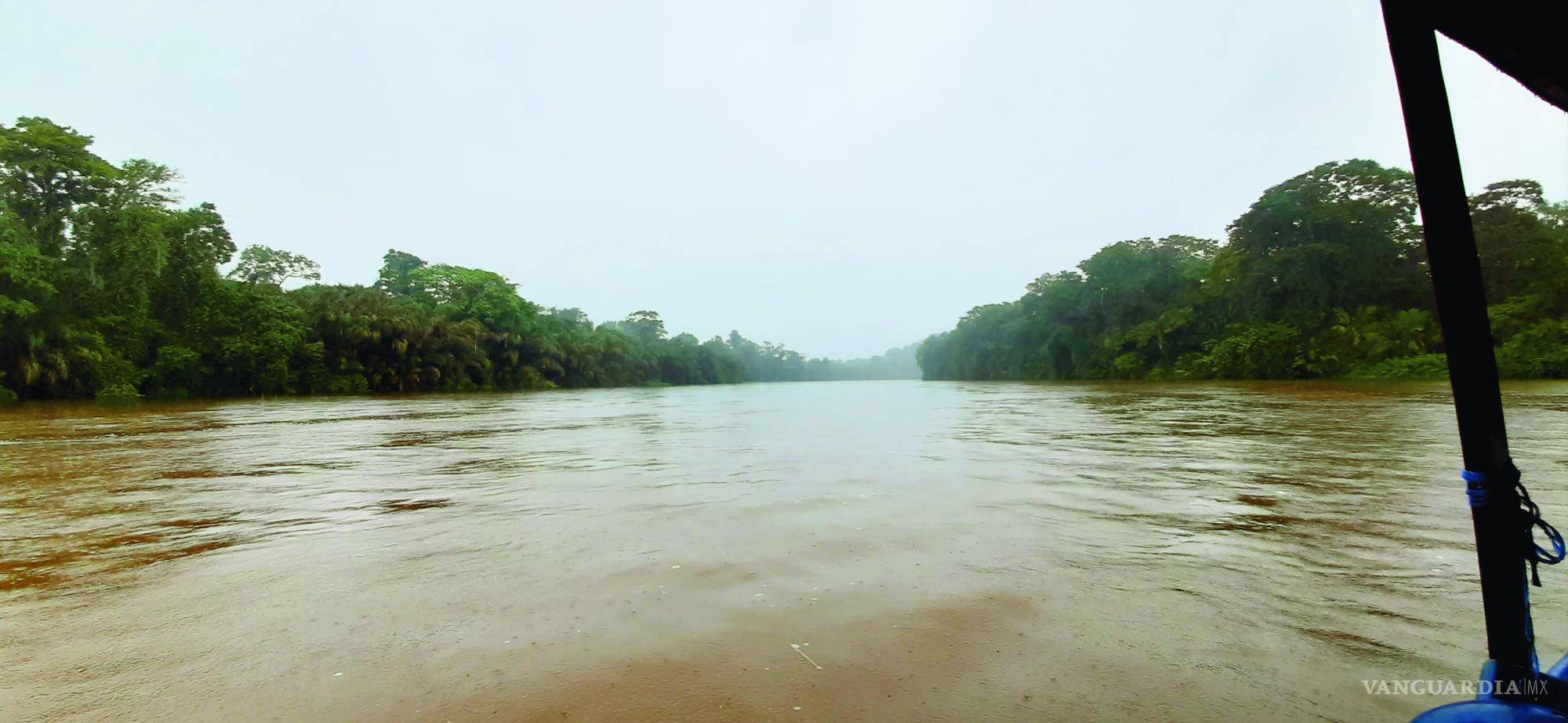 $!Río en los humedales cerca de Tortuguero.