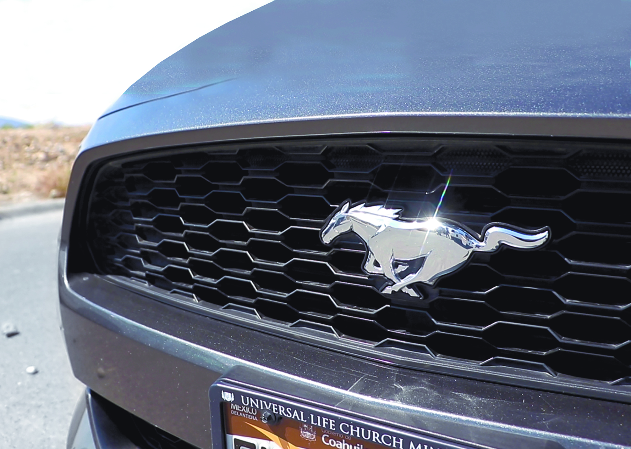 $!¿Porqué los amantes del Mustang en Coahuila son diferentes a todos los demás?