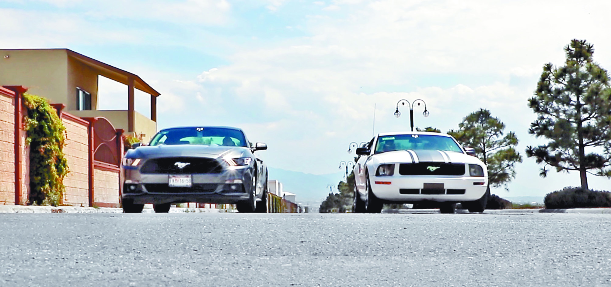 $!¿Porqué los amantes del Mustang en Coahuila son diferentes a todos los demás?