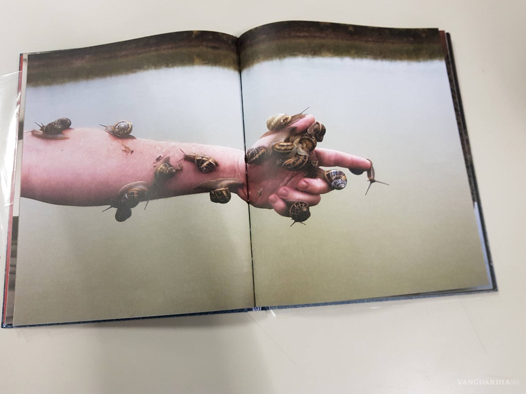 $!Libro fotográfico impreso por Medio Pliego entre los mejores de 2018 según El País