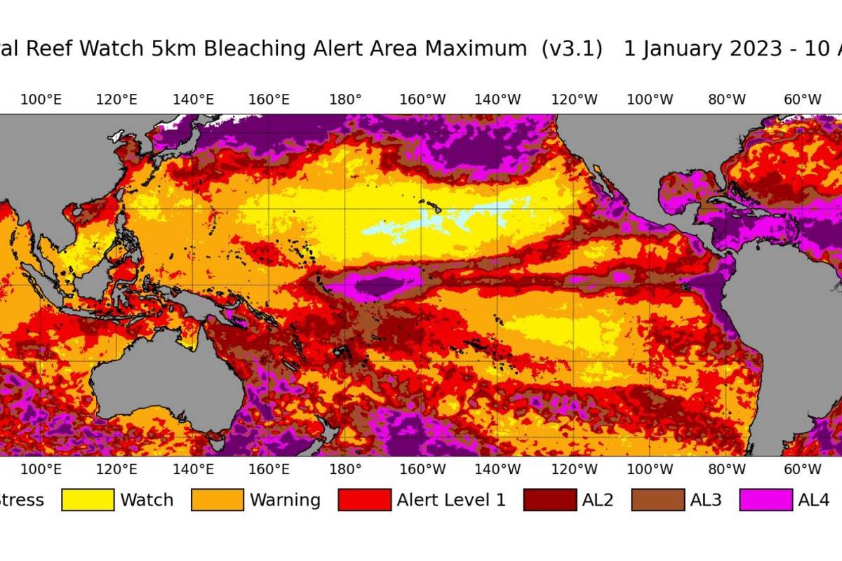 $!Mapa del área de alerta de blanqueo de coral satelital global con resolución de 5 km de NOAA Coral Reef Watch, del 1 de enero de 2023 al 10 de abril de 2024.